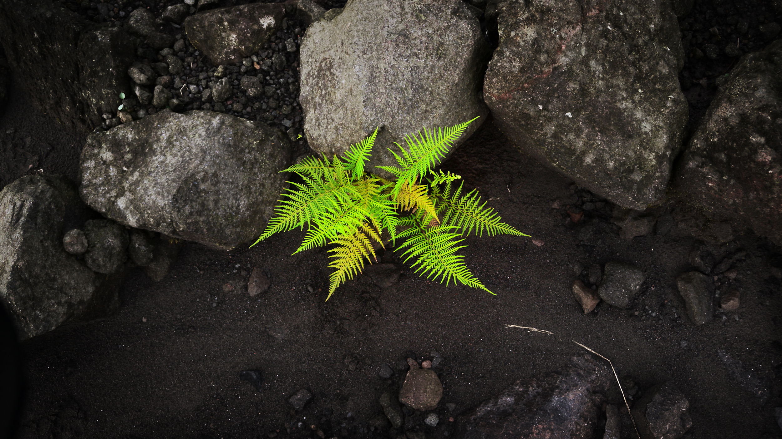 Merapi_Vulcano010.JPG