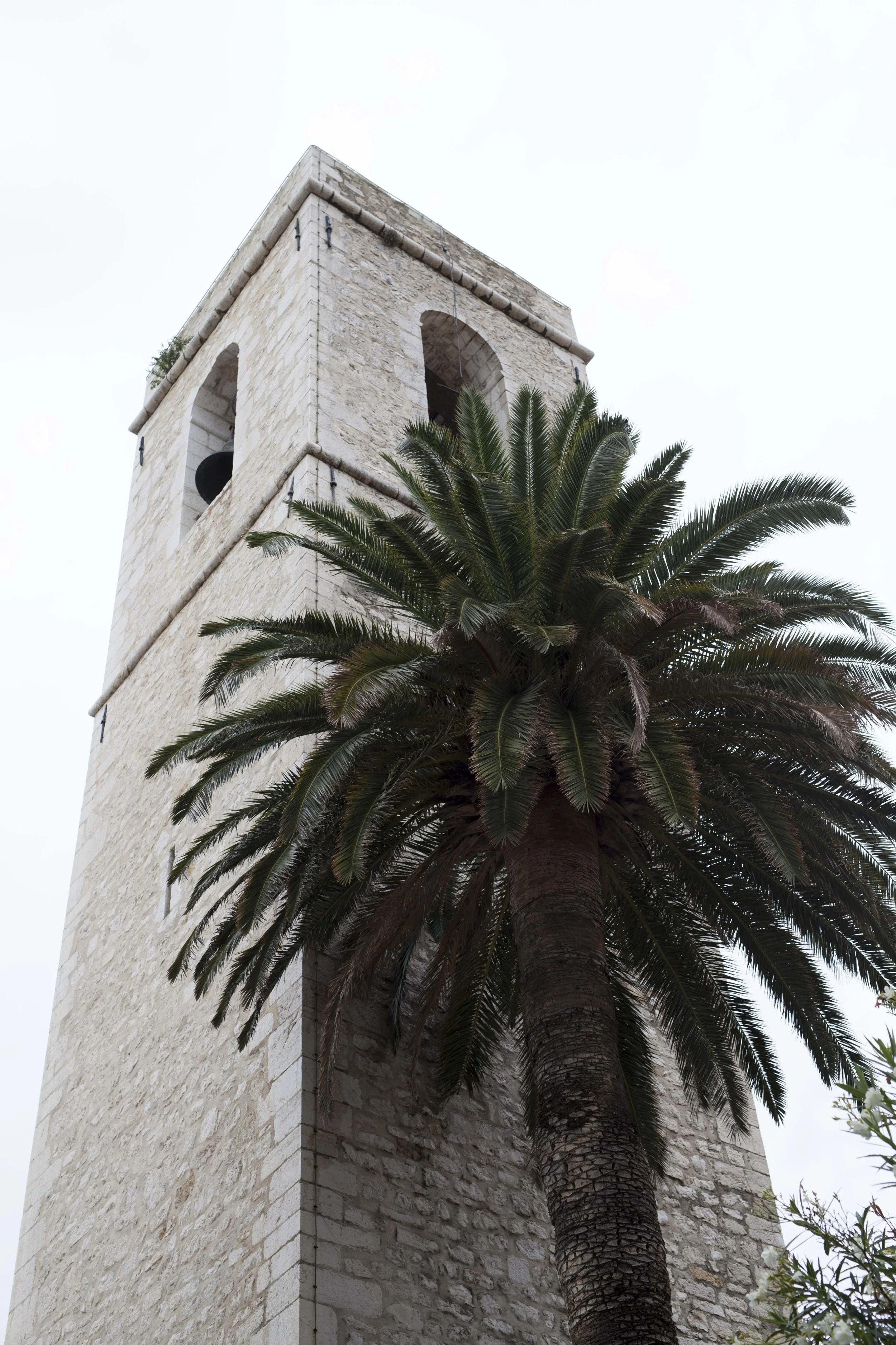 nizza_2015_7.jpg