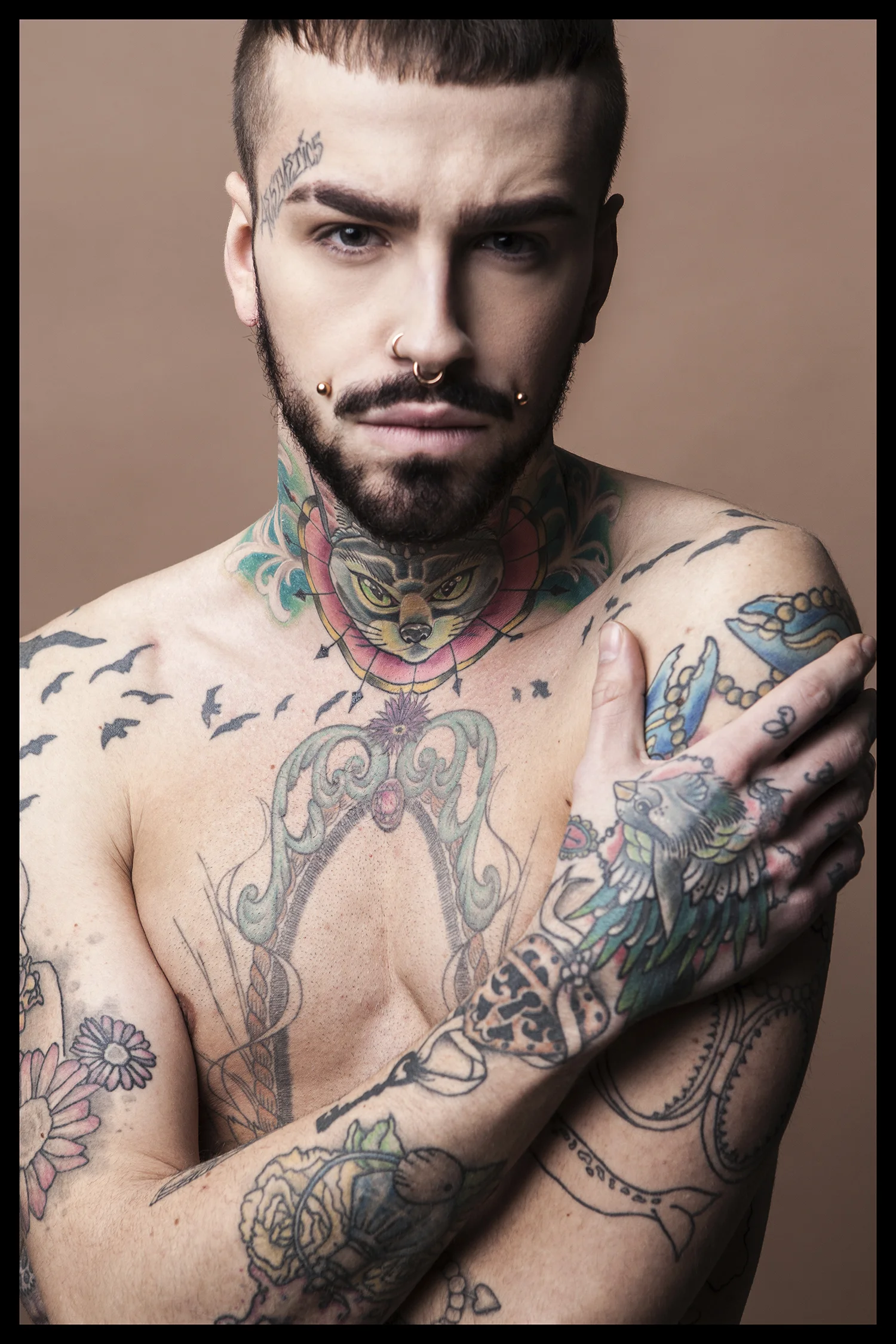 david4_klein.jpg