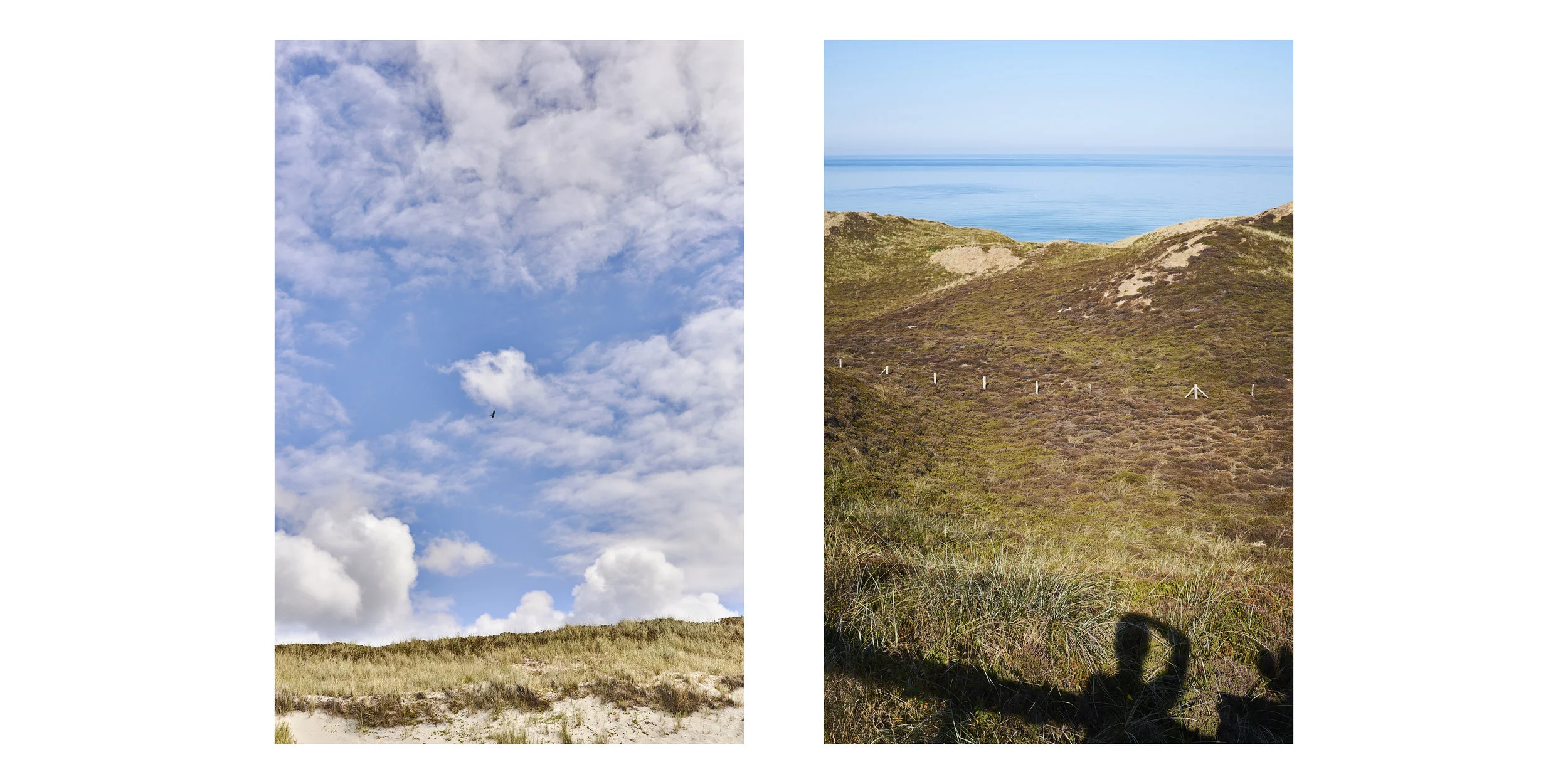 sylt5.jpg