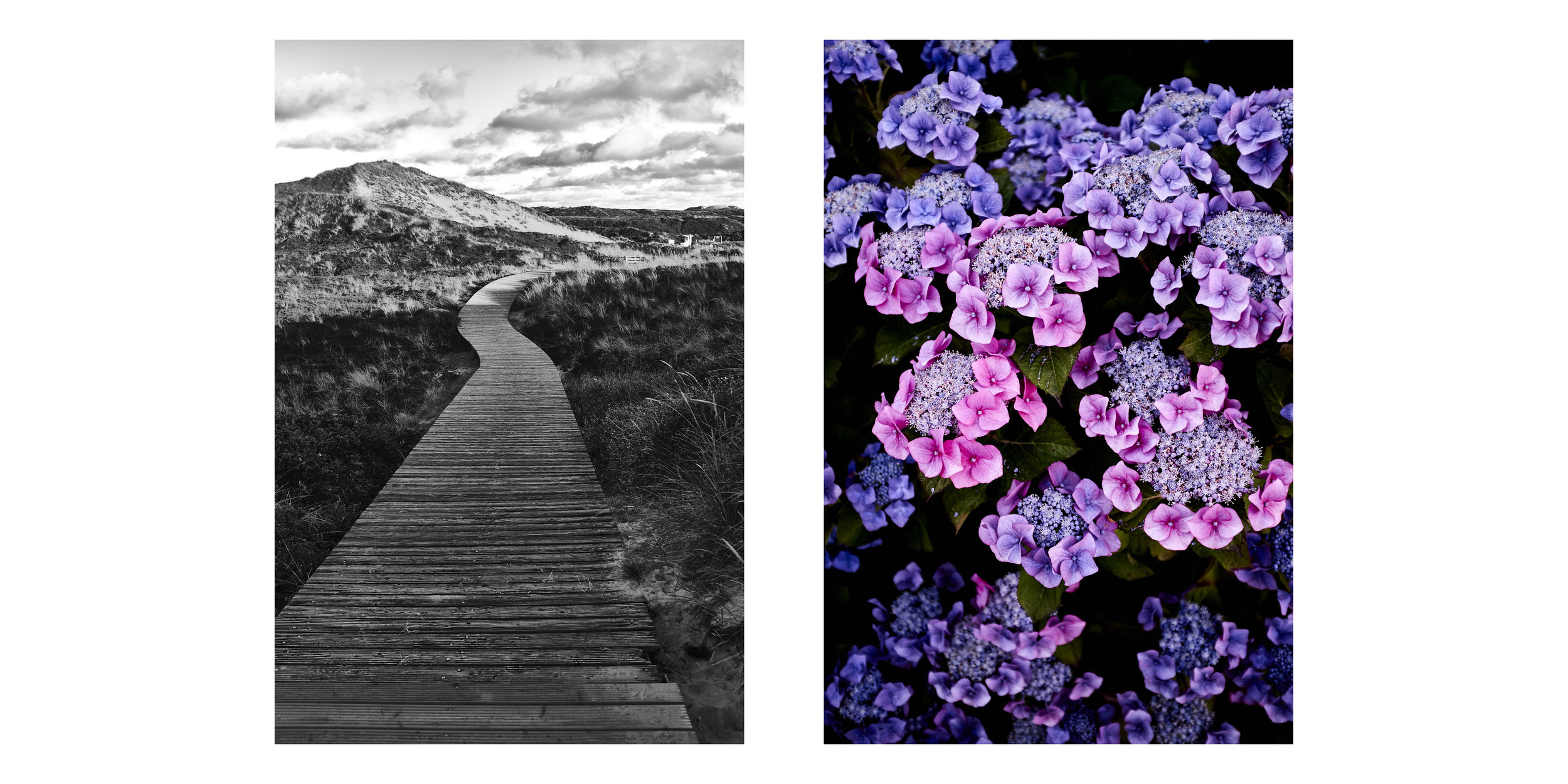 sylt4.jpg