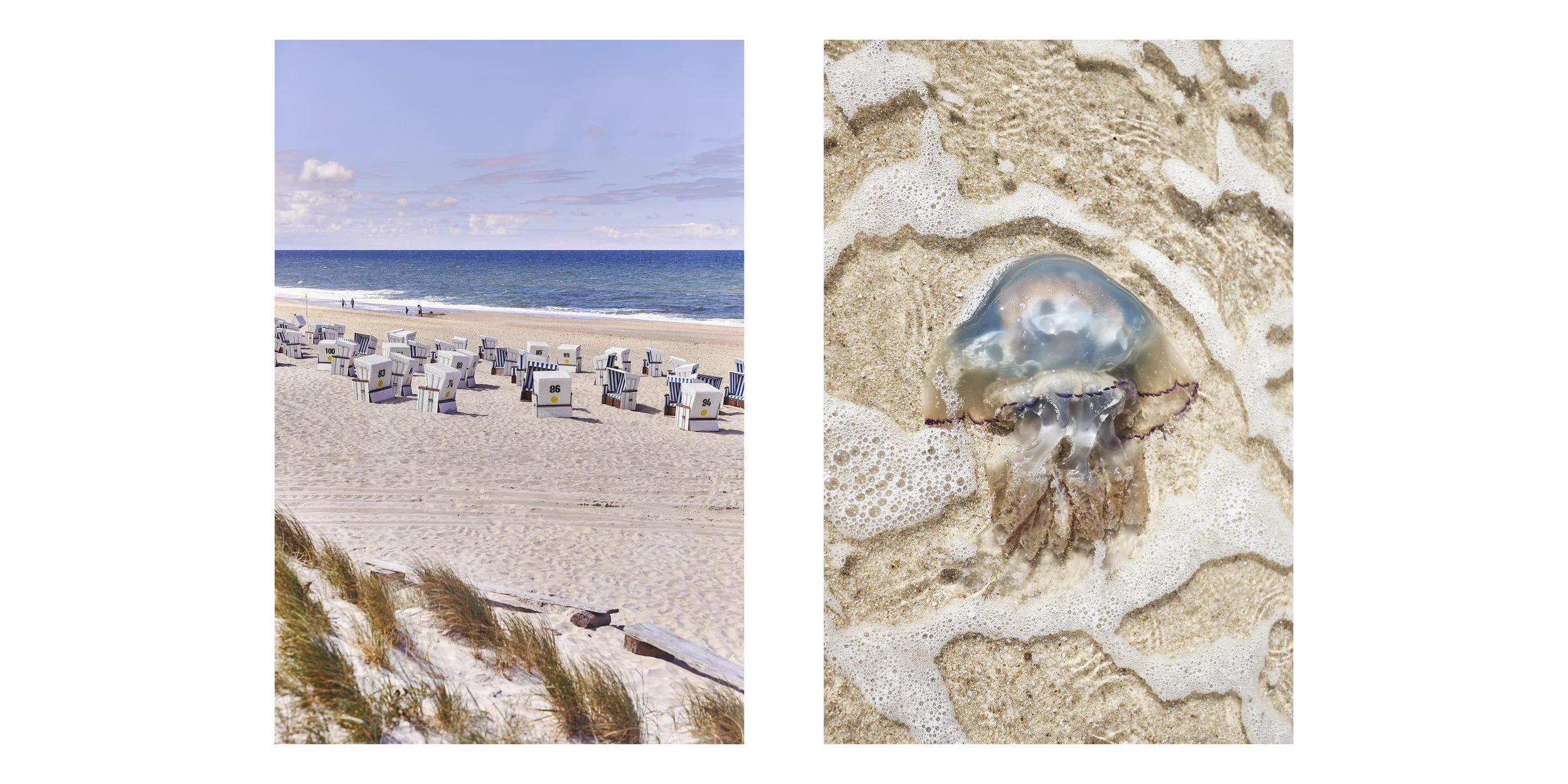sylt2.jpg