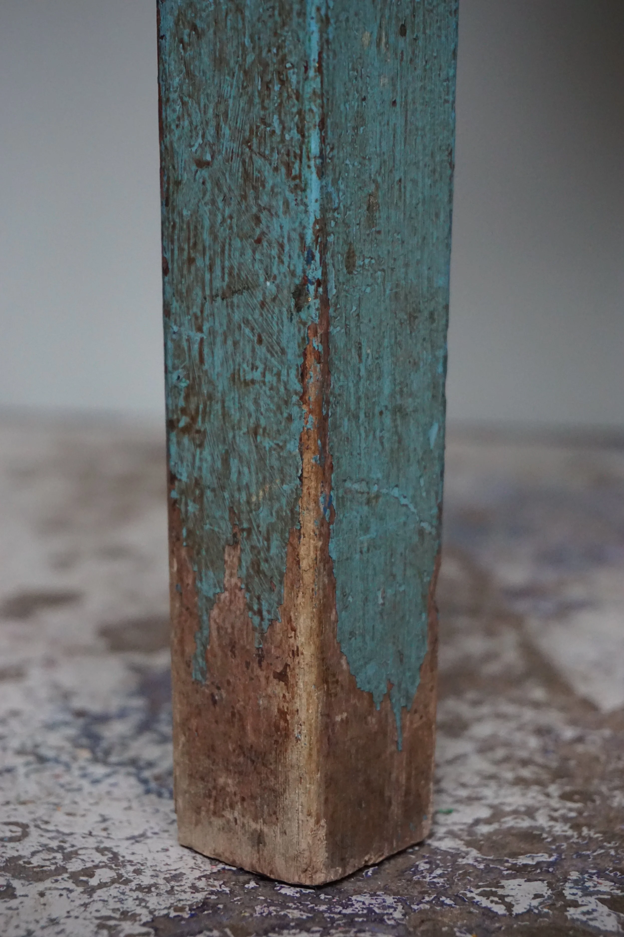 DSC07484.jpg