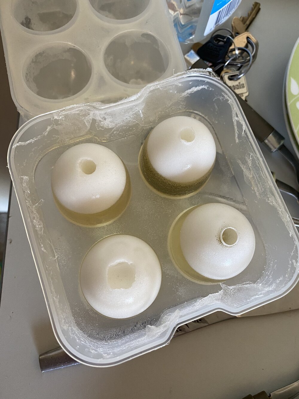 ovipositor egg moulds.jpg