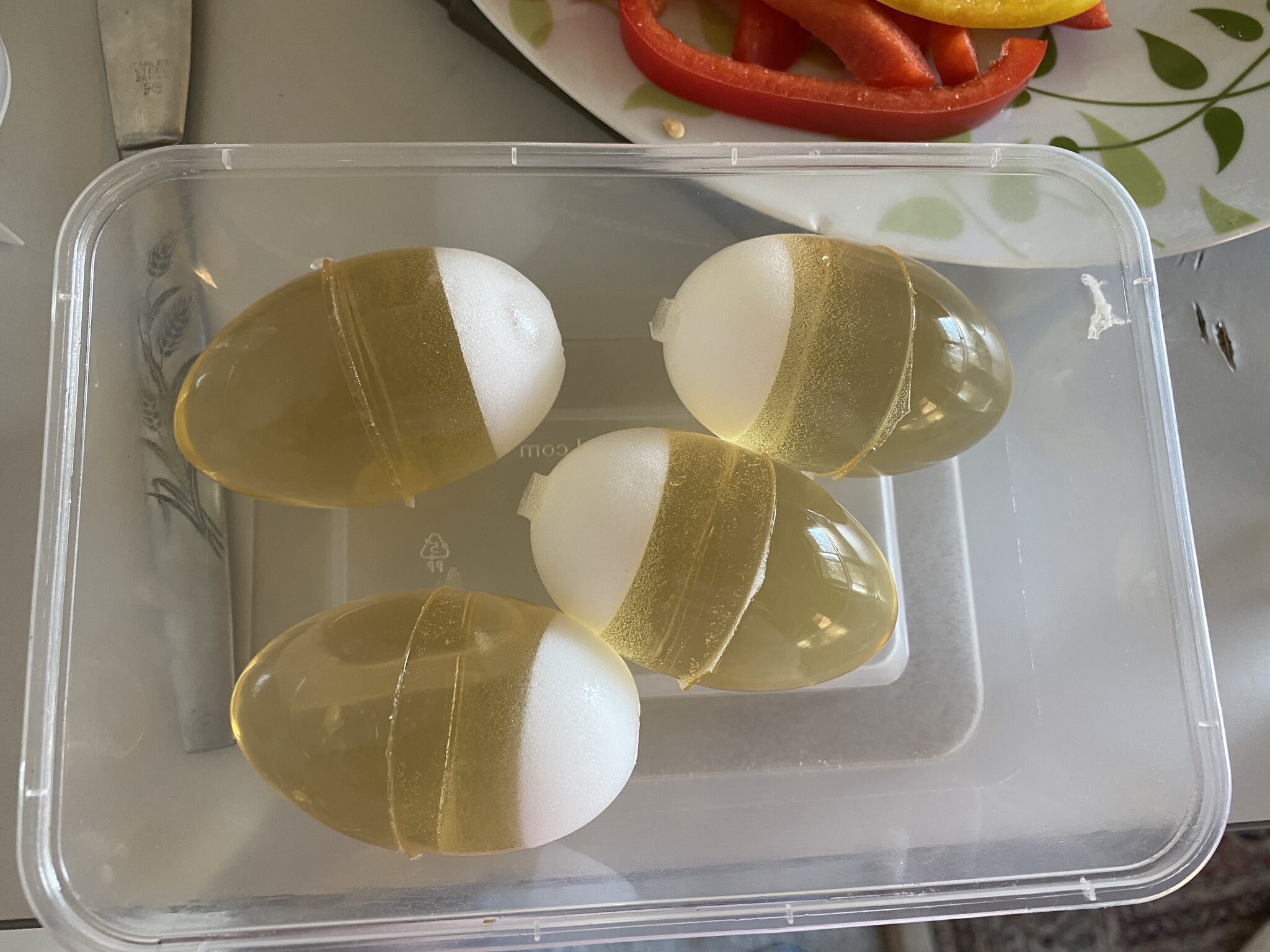 ovipositor eggs finished.jpg