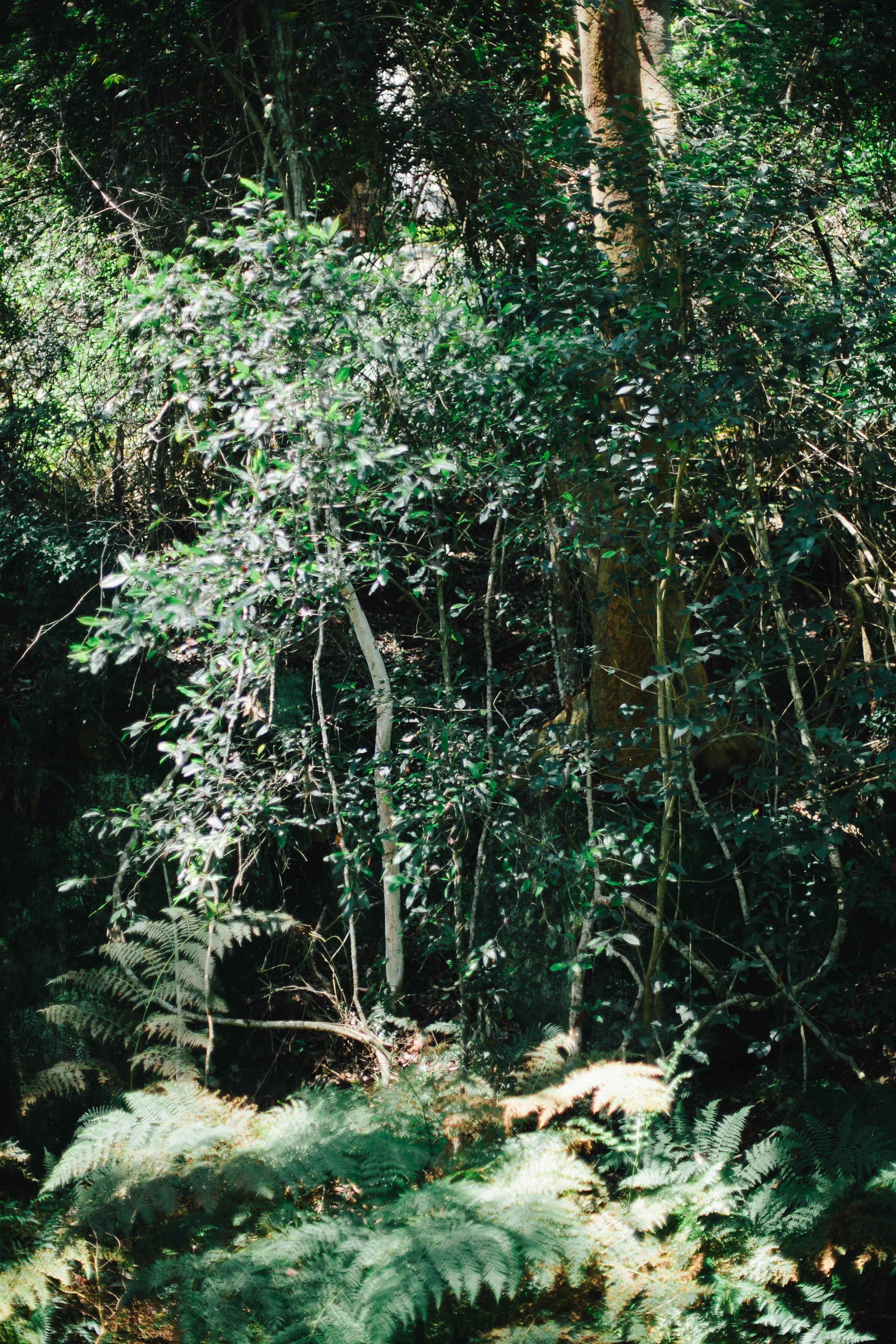 108 Sally Bay shoot.JPG