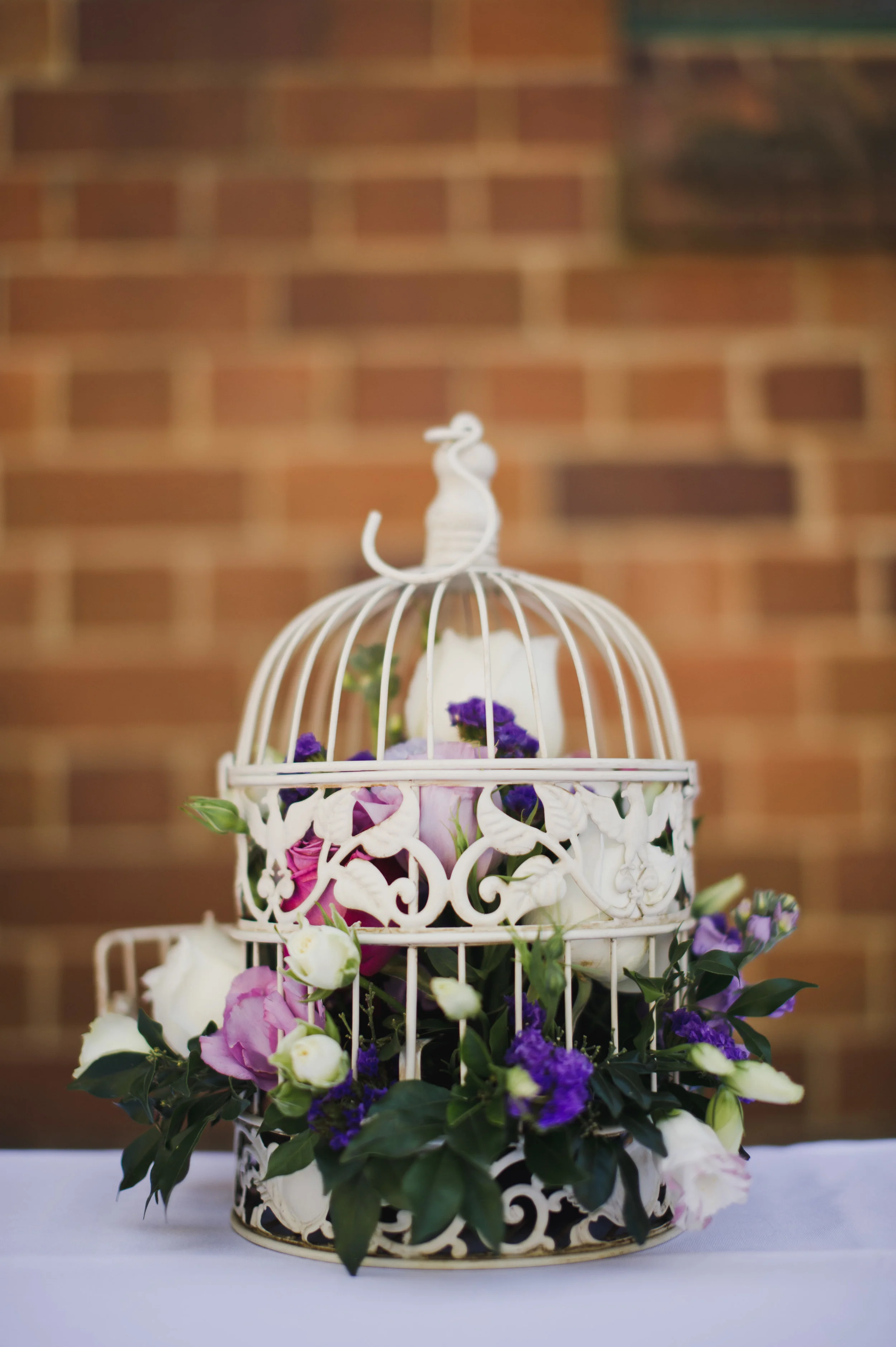 SALLY BAY WEDDING 2.JPG