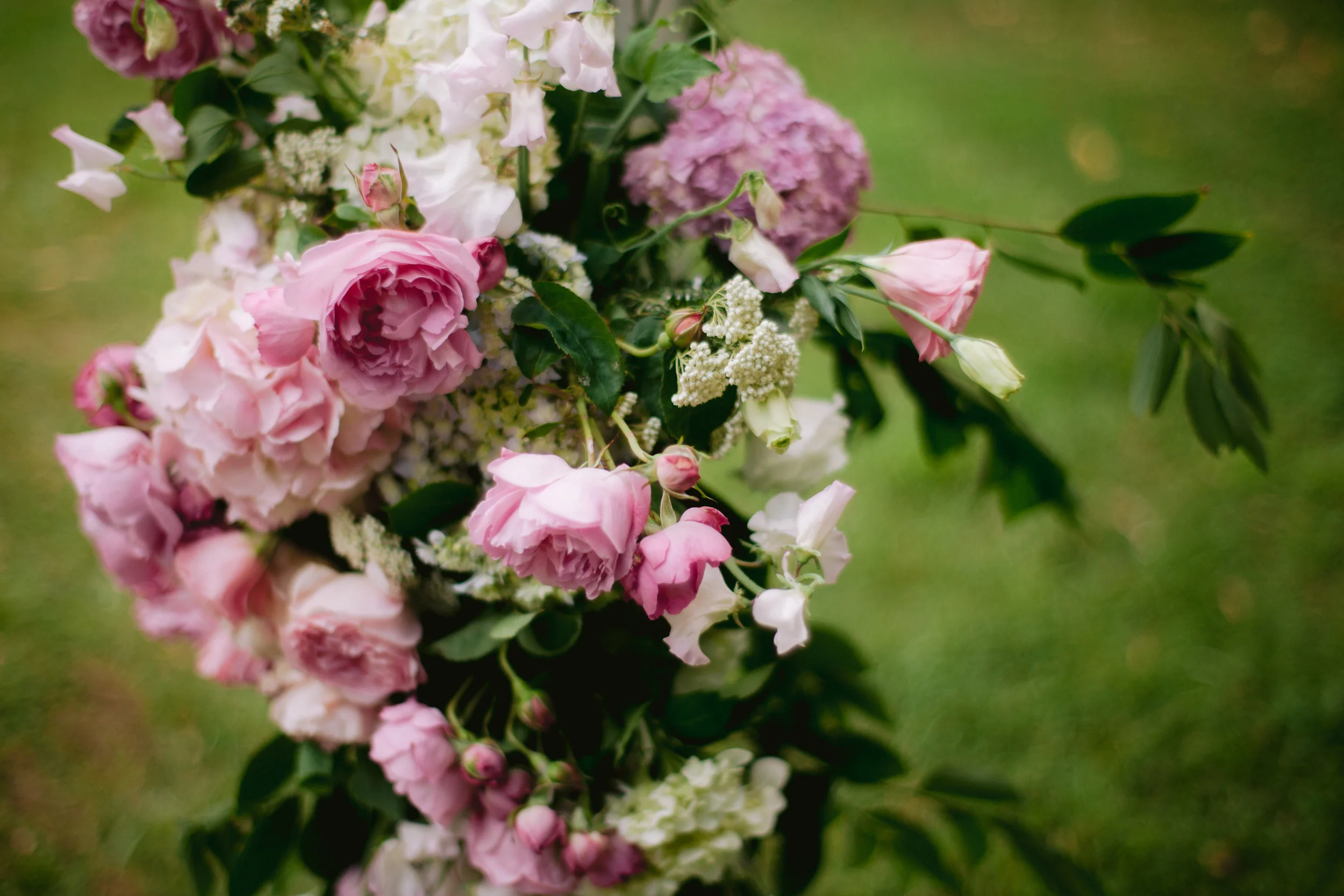Roses arbour Sally Bay 005.jpg