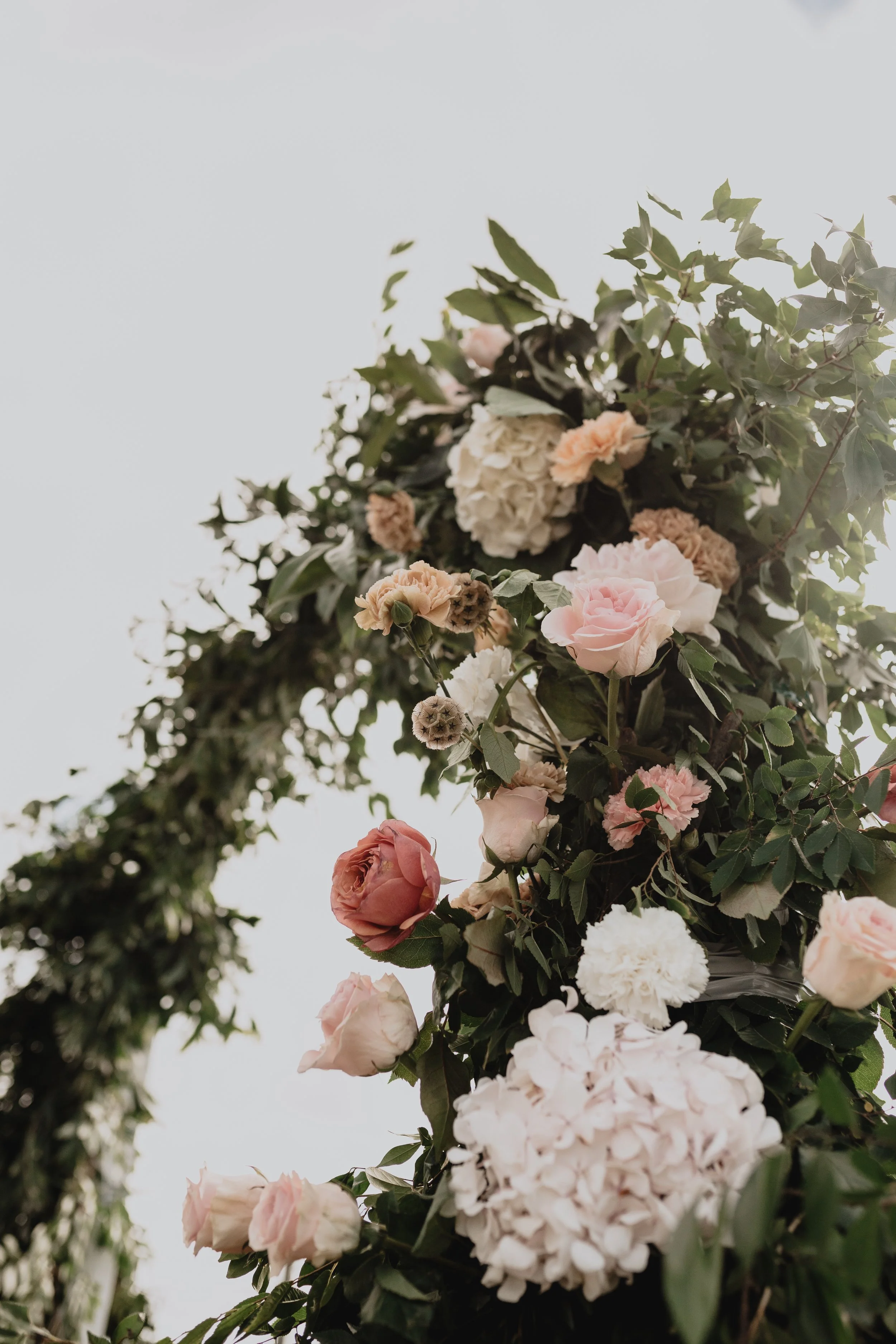 James and Ryke-2.jpg