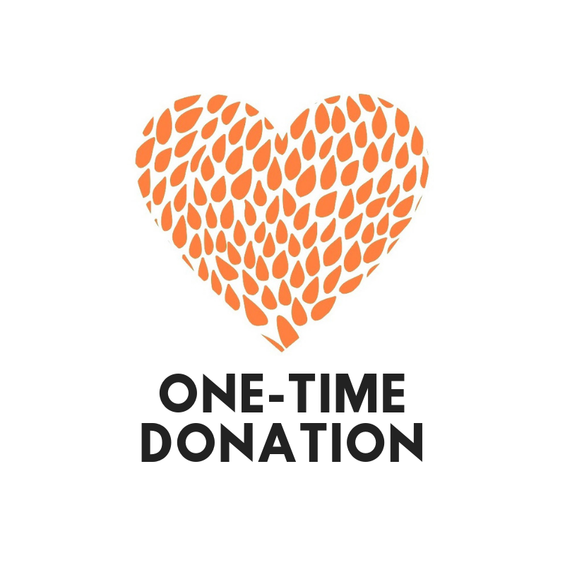 Donation (one-time)