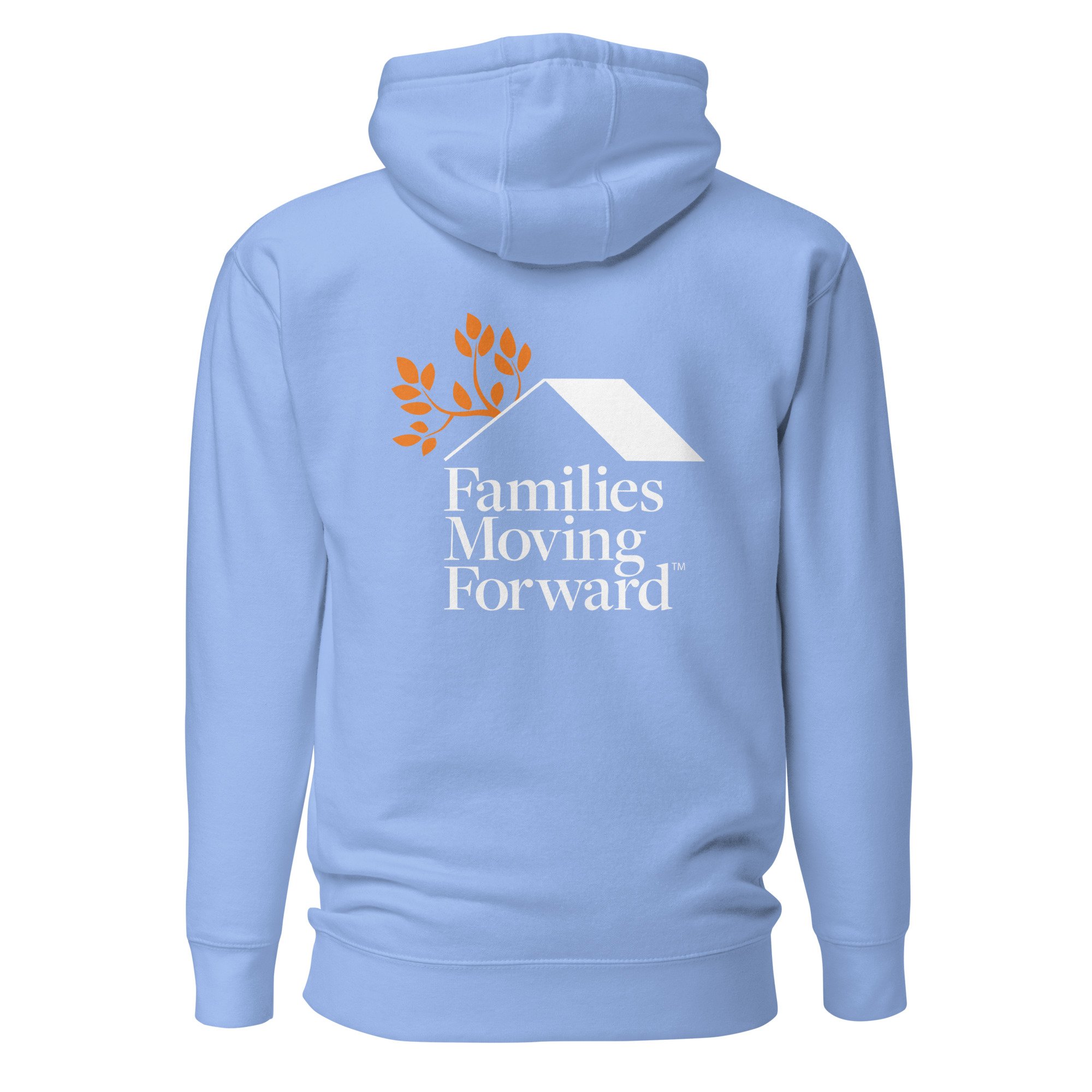 unisex-premium-pullover-hoodie-carolina-blue-back-69d3e69ae0c3d.jpg