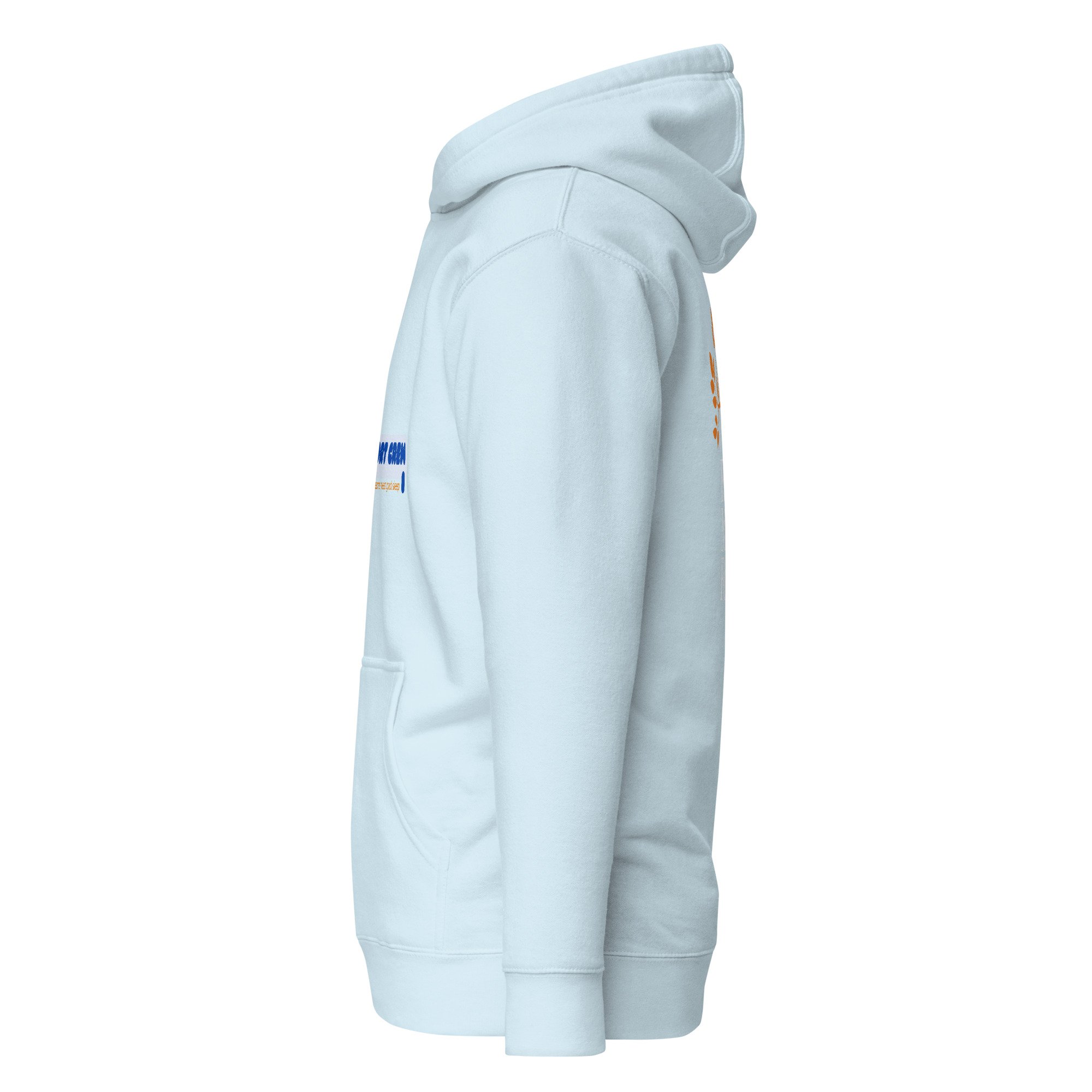 unisex-premium-pullover-hoodie-sky-blue-left-69d3e69ae1652.jpg