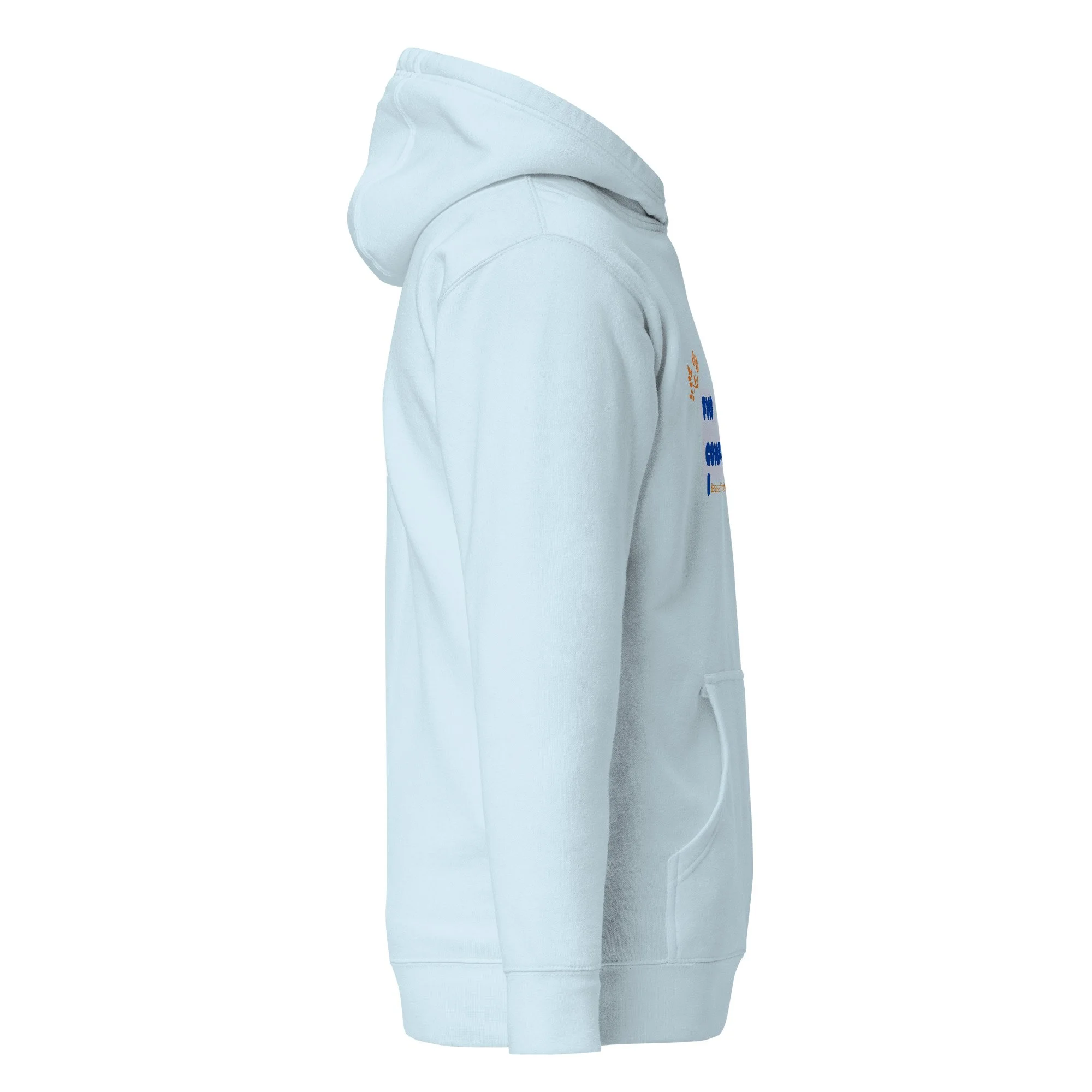 unisex-premium-pullover-hoodie-sky-blue-right-69d3e69ae1f0d.jpg