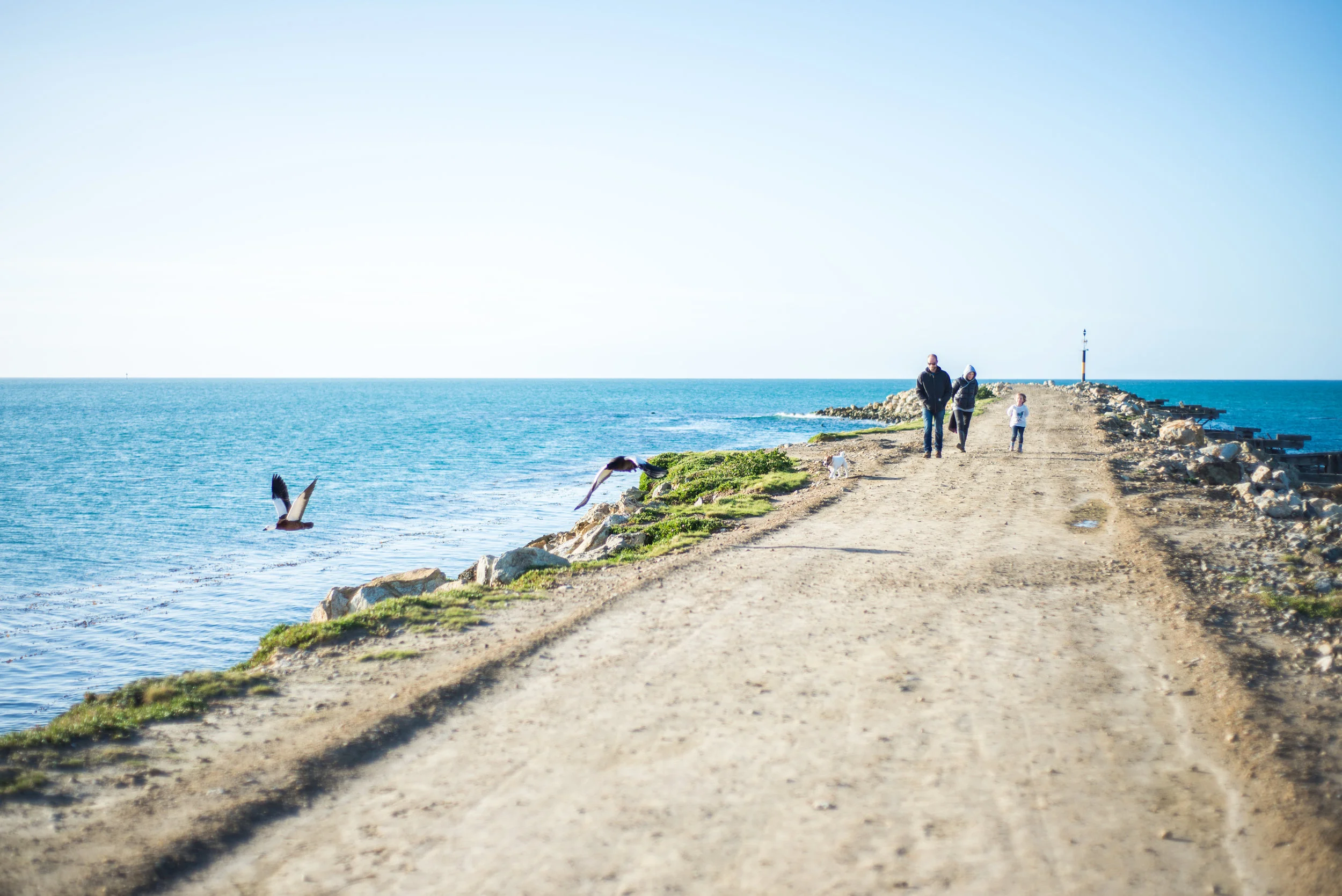The mole at Aramoana