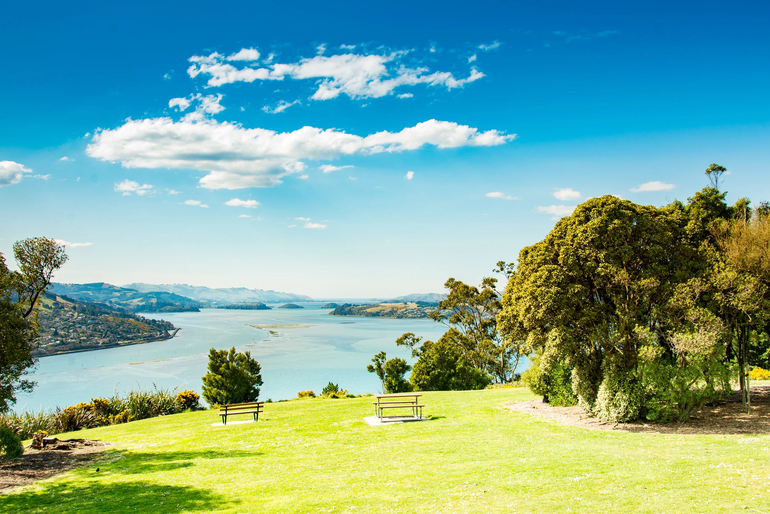 Otago Harbour-4367.jpg