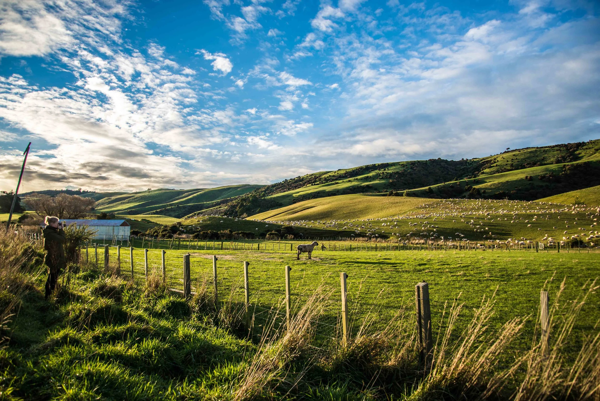 Catlins-3425.jpg