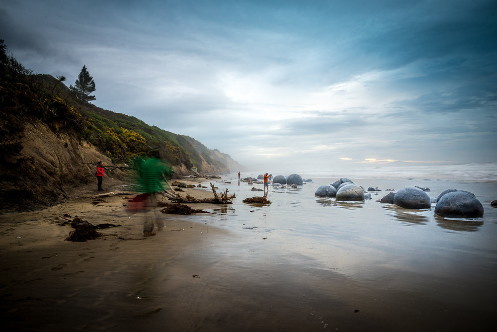 DSC_2847.jpg,
