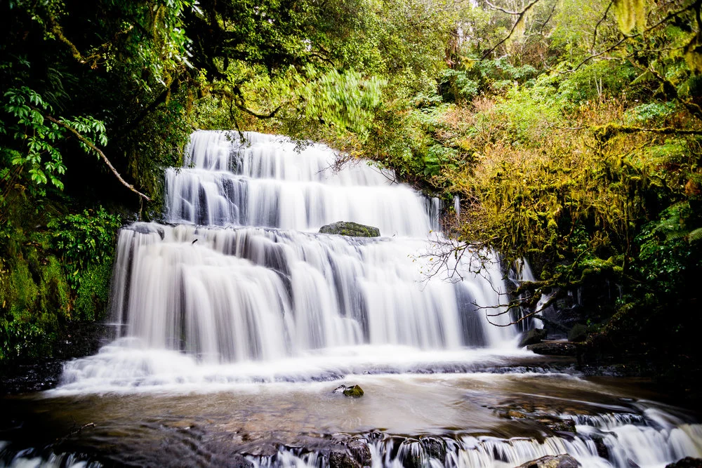 DSC_3473-2.jpg,
