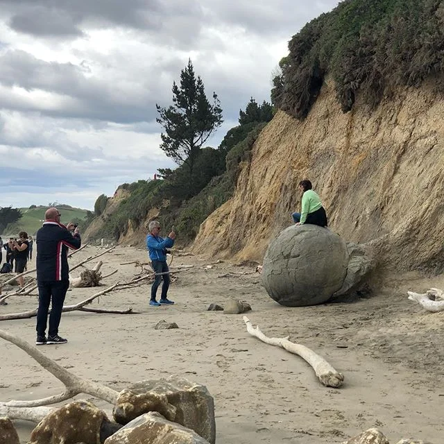 Busy day with my passengers from Germany and Italy yesterday - from Moeraki Boulders to Tunnel Beach and everything in between (including getting soaked in a thunderstorm)! #freedomtours #moerakiboulders #baldwinstreetdunedin #tunnelbeachdunedin #dunedinnz #newzealand #purenz #otago #southisland #celebritysolstice #cruisedunedin