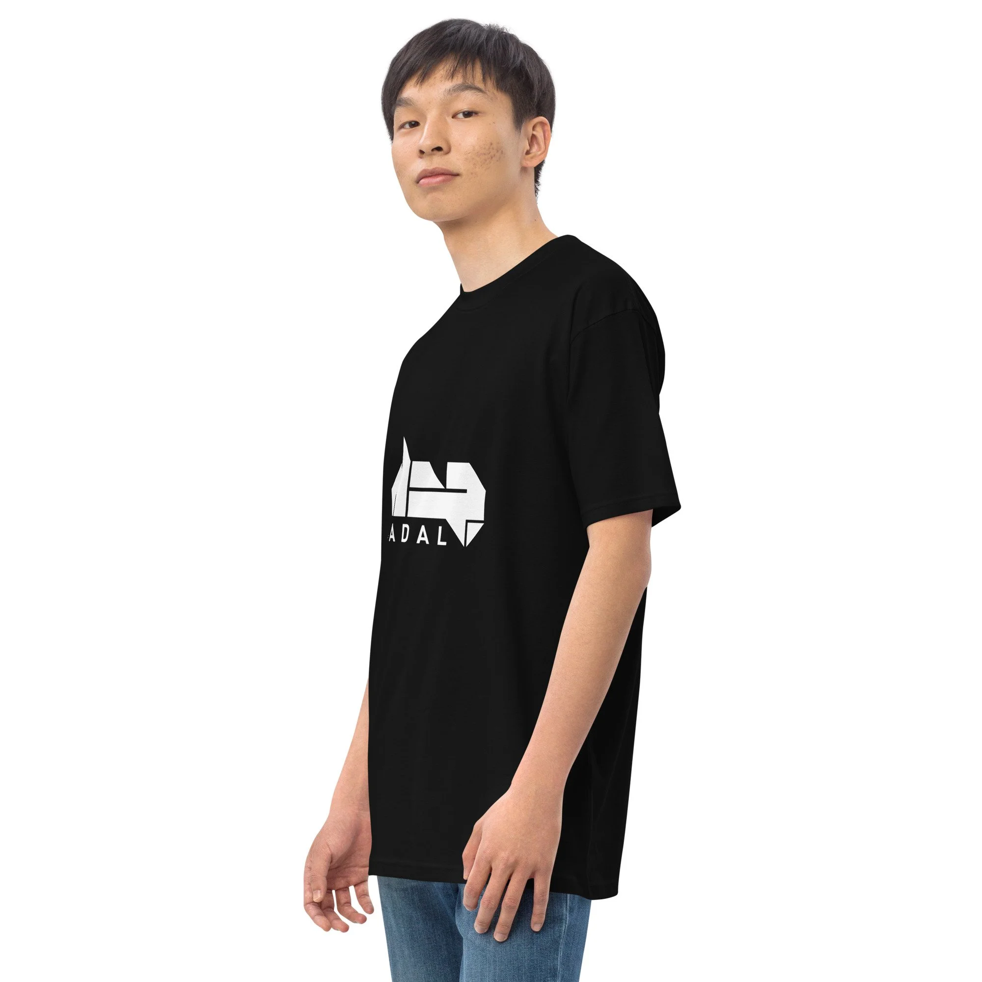 mens-premium-heavyweight-tee-black-left-front-638613c8428e2.jpg