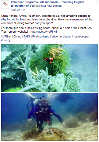 tsn diving.png