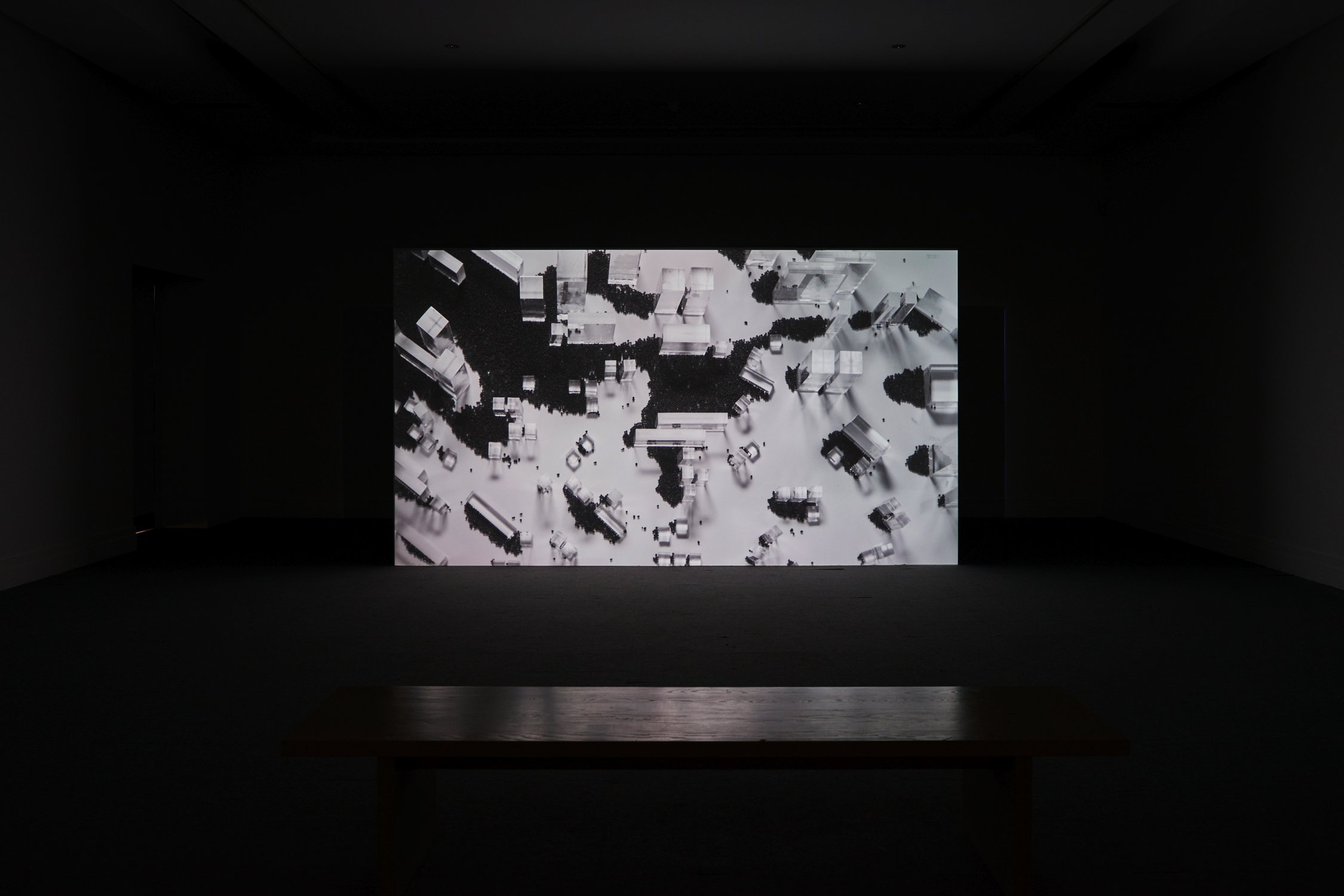  Installation View. ‘shot crowd’ at the RHA, gallery, Dublin.  Film work ‘shot crowd’. HDV. Duration 4.00 minutes. 