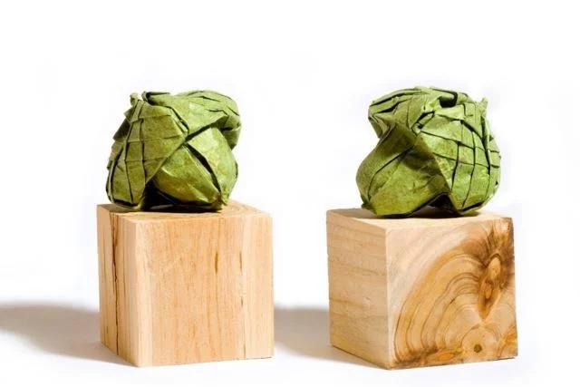 Acorns