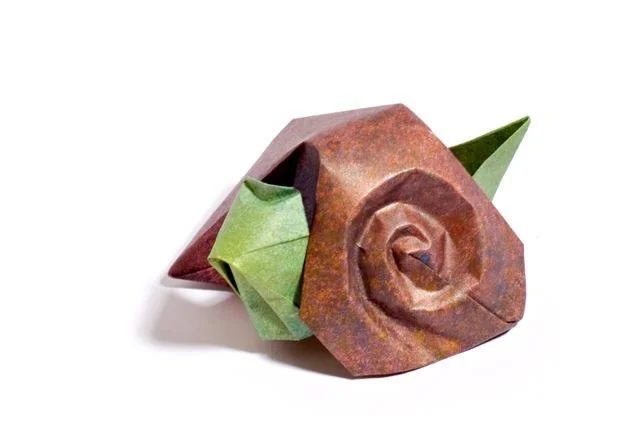 Snail