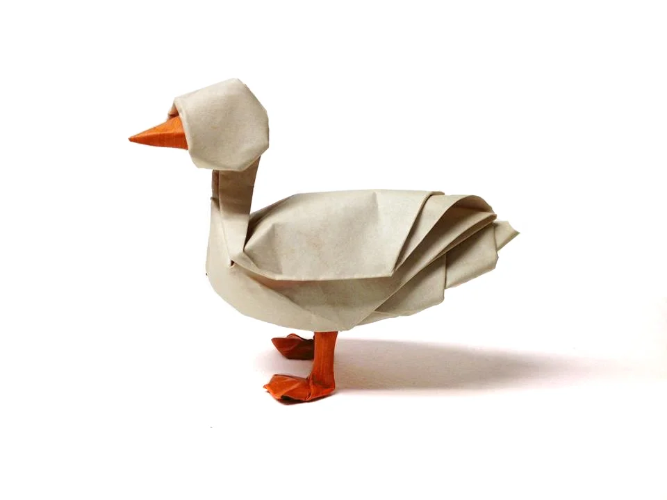 duck edited.jpg