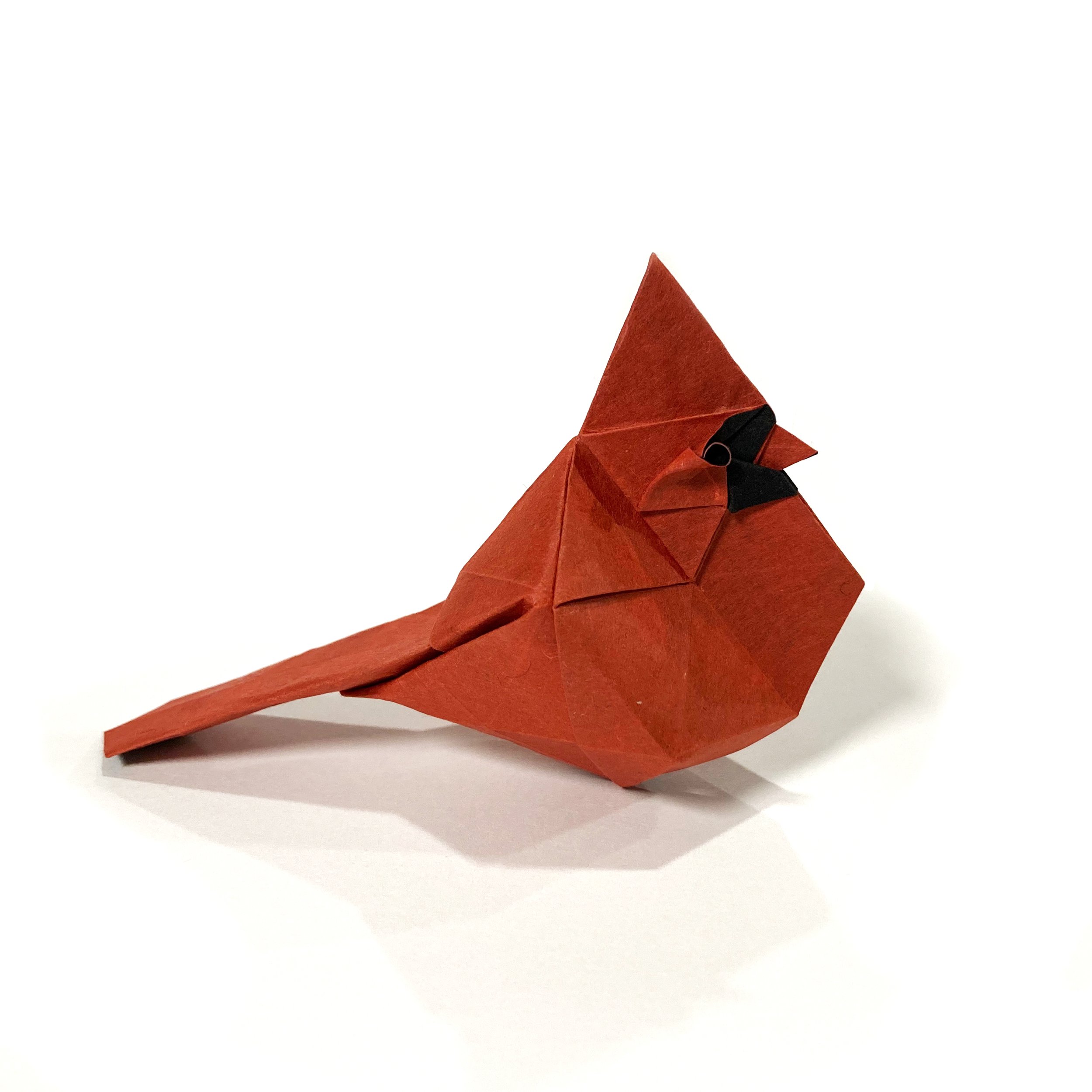 Cardinal Hex.jpg