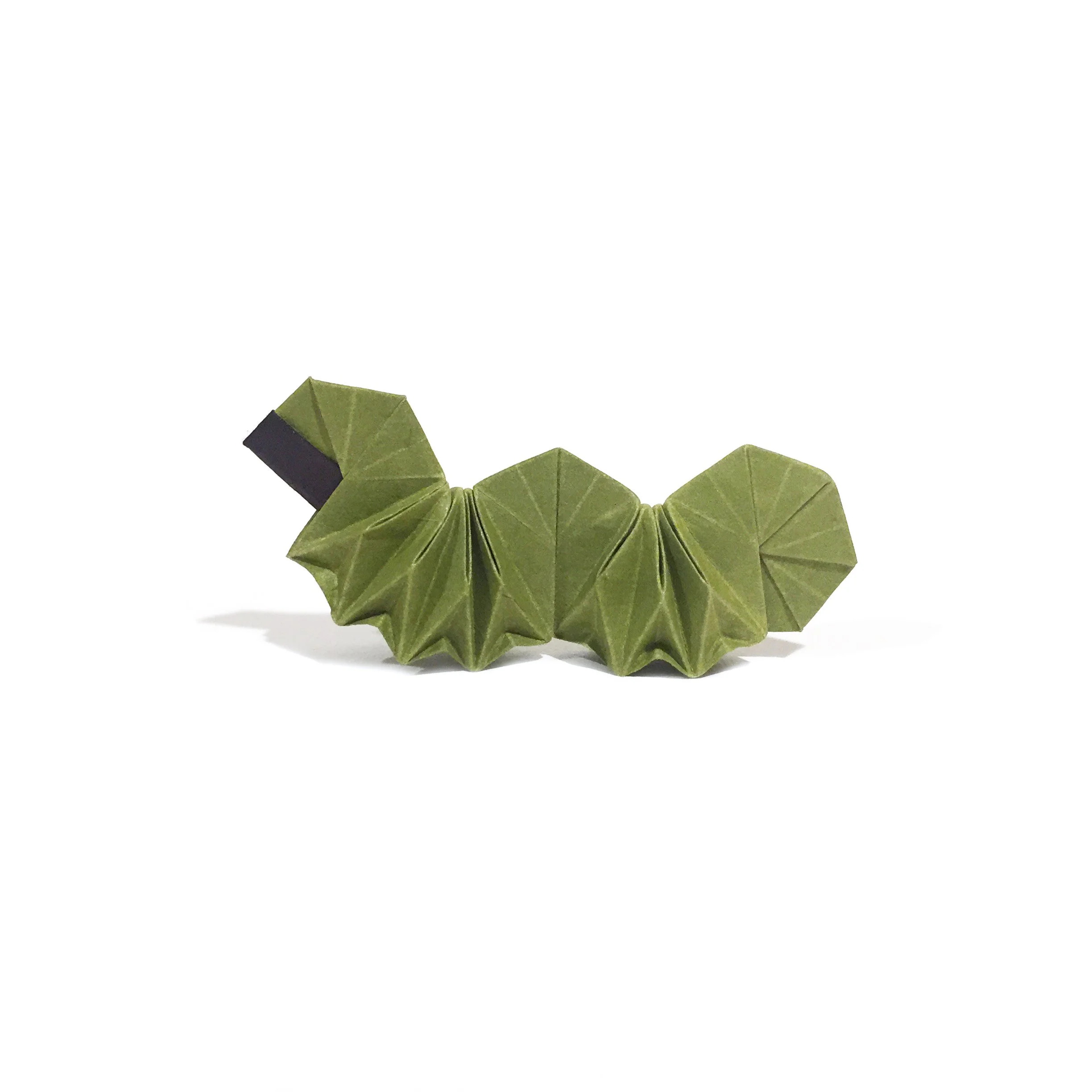 Caterpillar.jpg