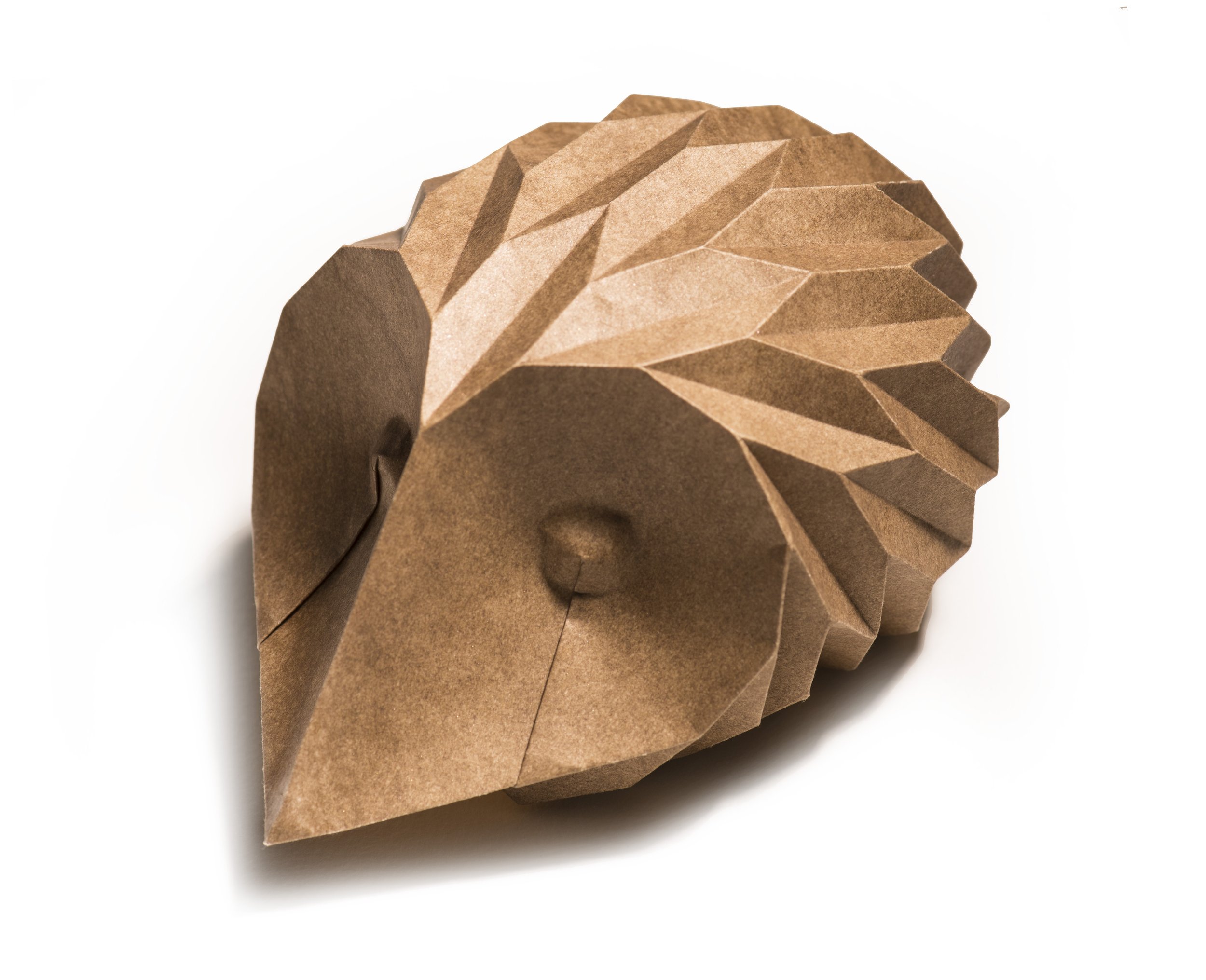 hedgehog.jpg