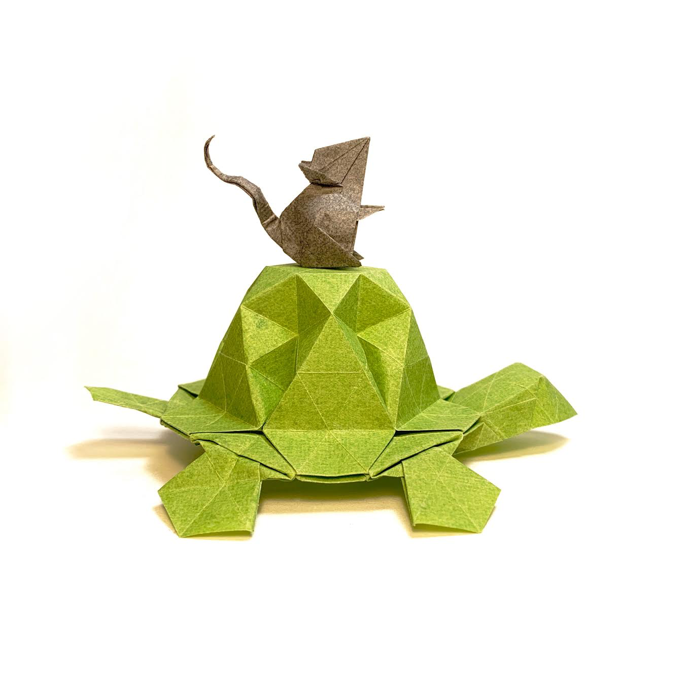 mouse turtle.png