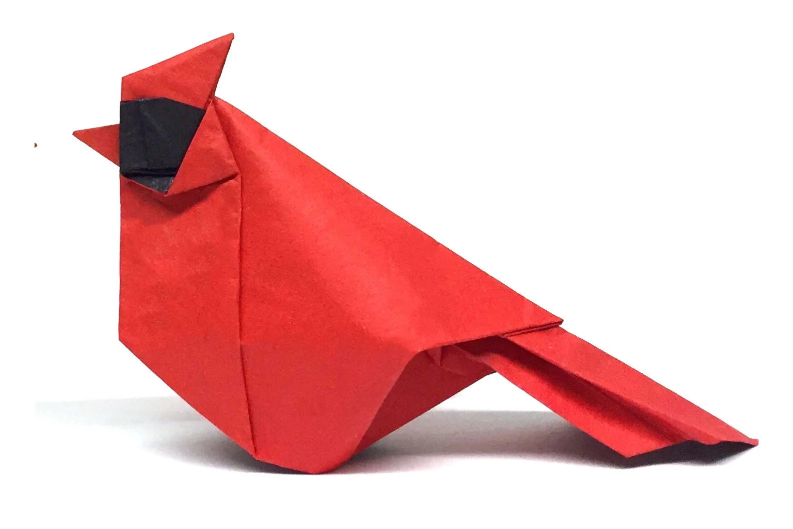 simple cardinal3.jpg