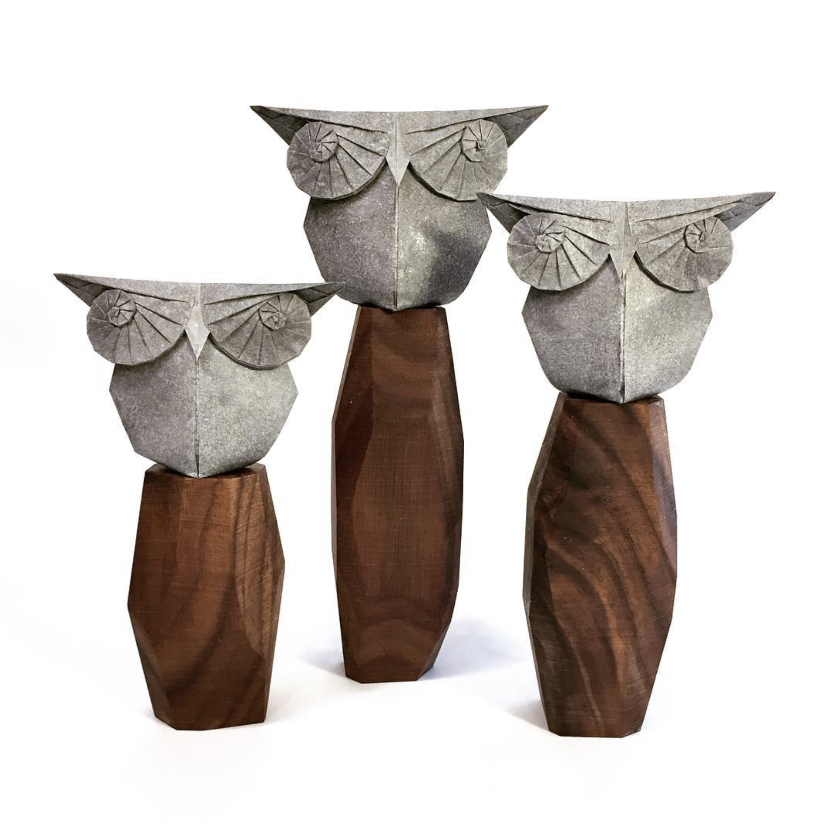 Owl Trio.png