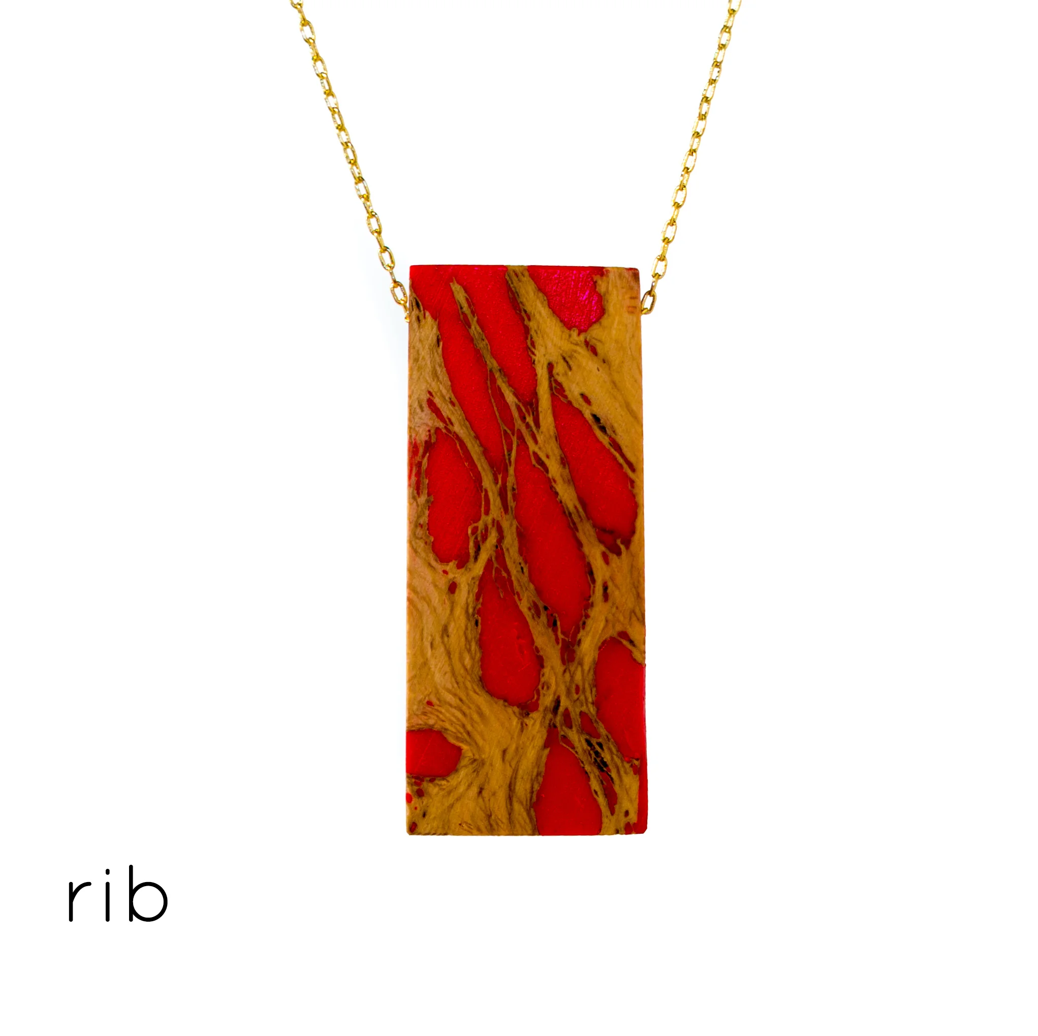 rib.jpg