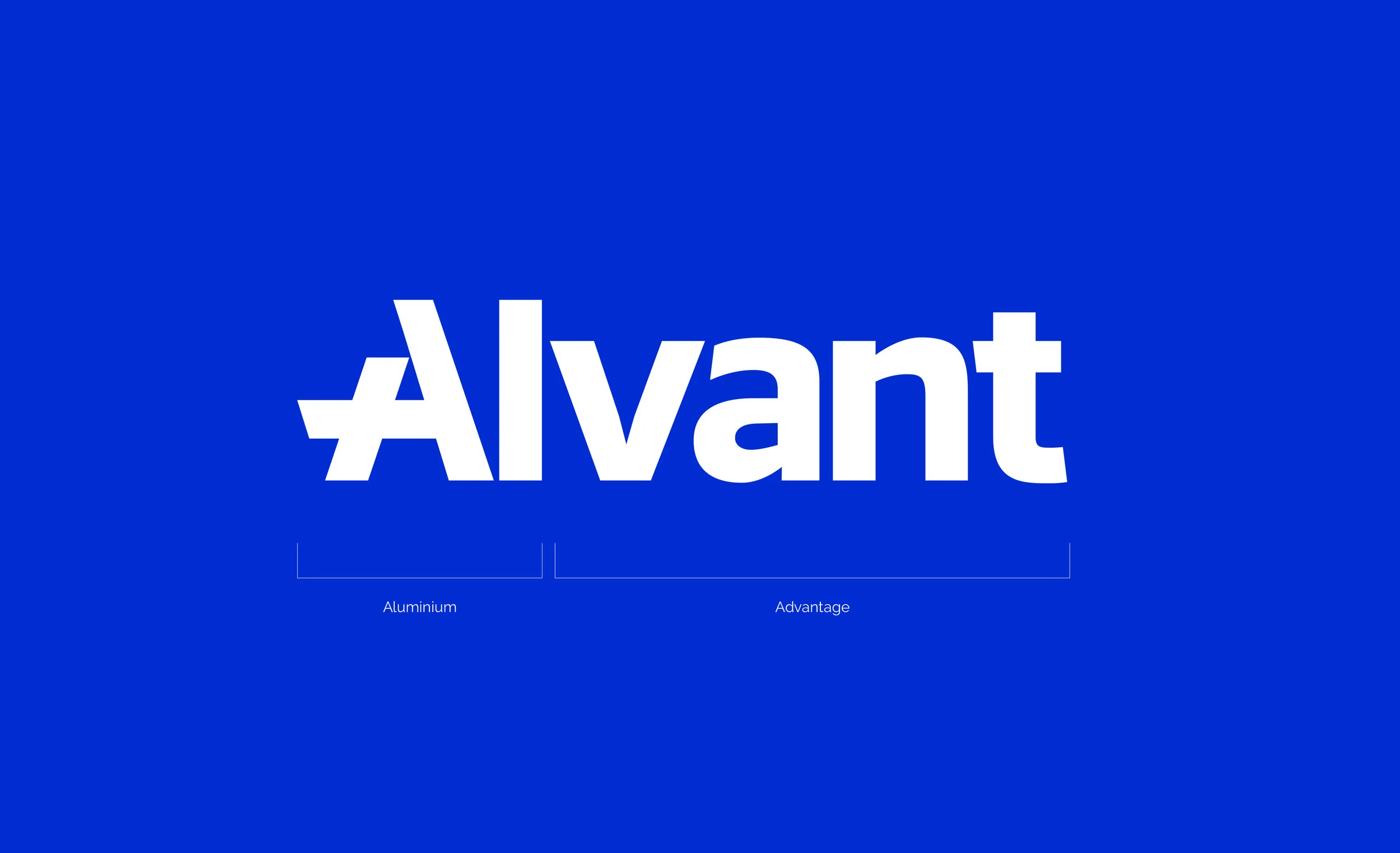 Alvant_BrandGuidelines_050618_LR 7.jpg