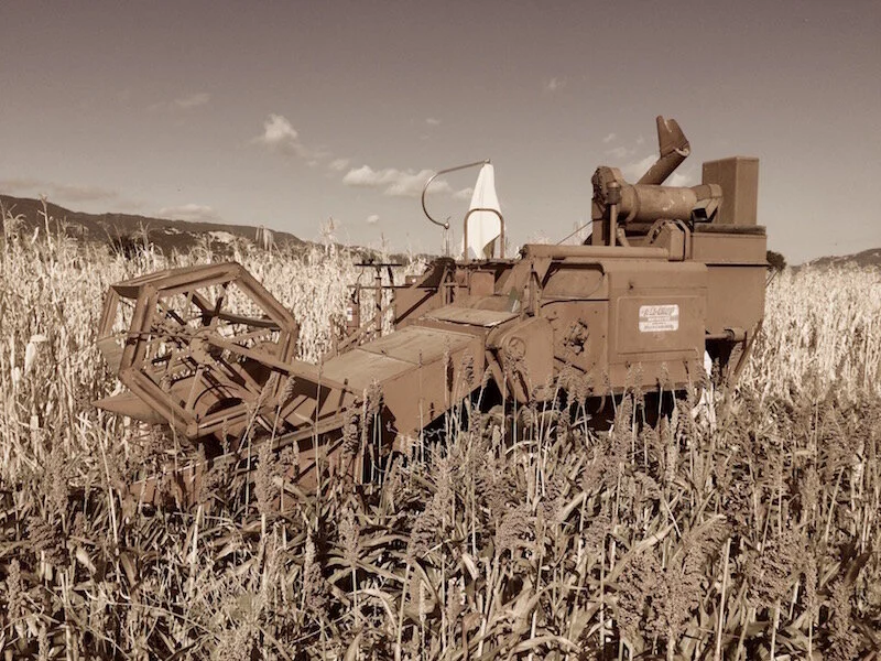 SP100 sepia 800x600.jpeg