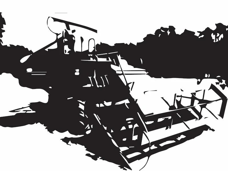 Big Red Bug 800x600.jpeg