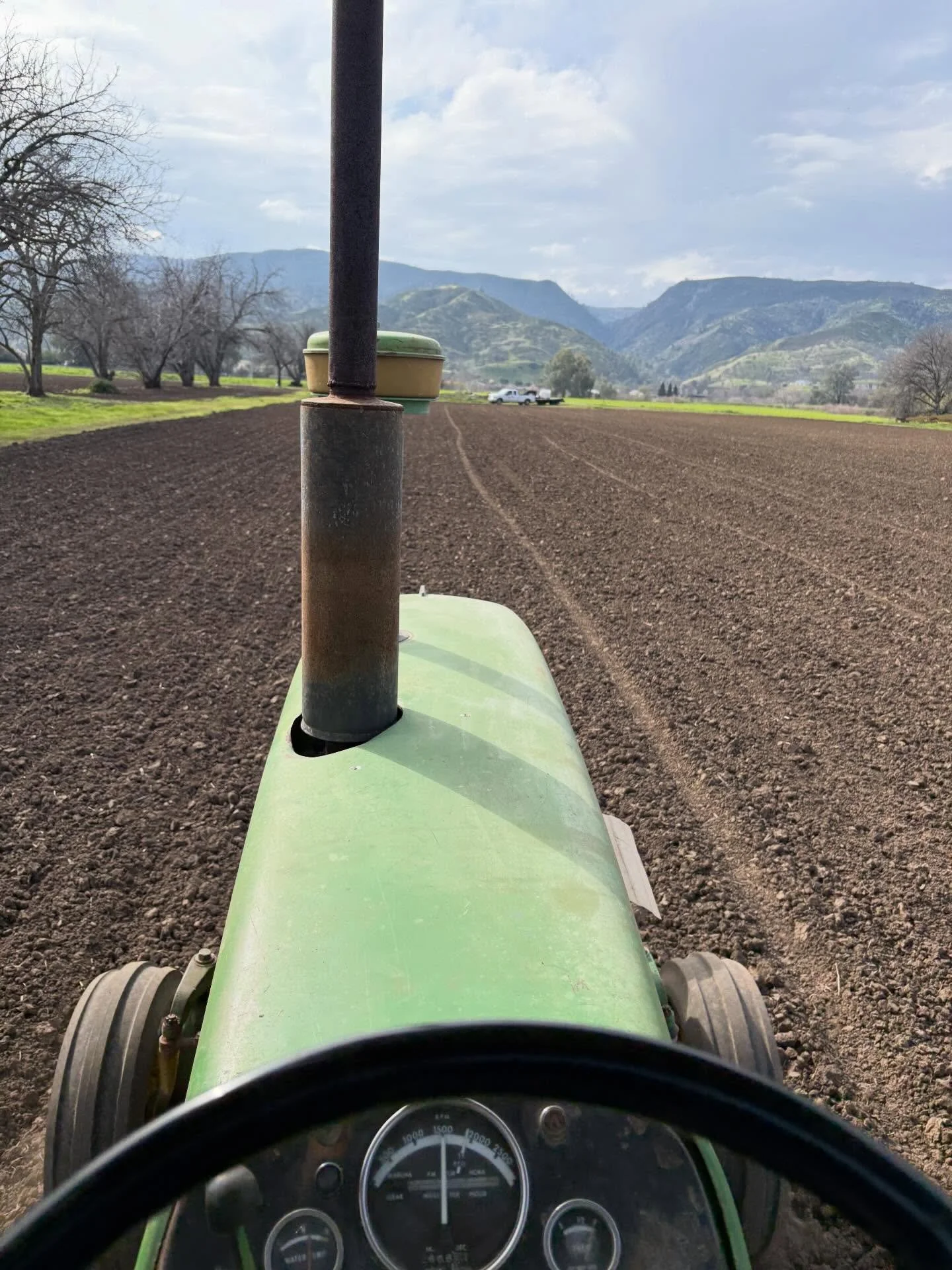 2 weeks ago&hellip;
Each season I swear I&rsquo;m going to get seed in the ground before the first autumn rains, late October, early November. Truer to form due to one thing or another (like climactic whims) October turned into Feb 8. Thanks to our f