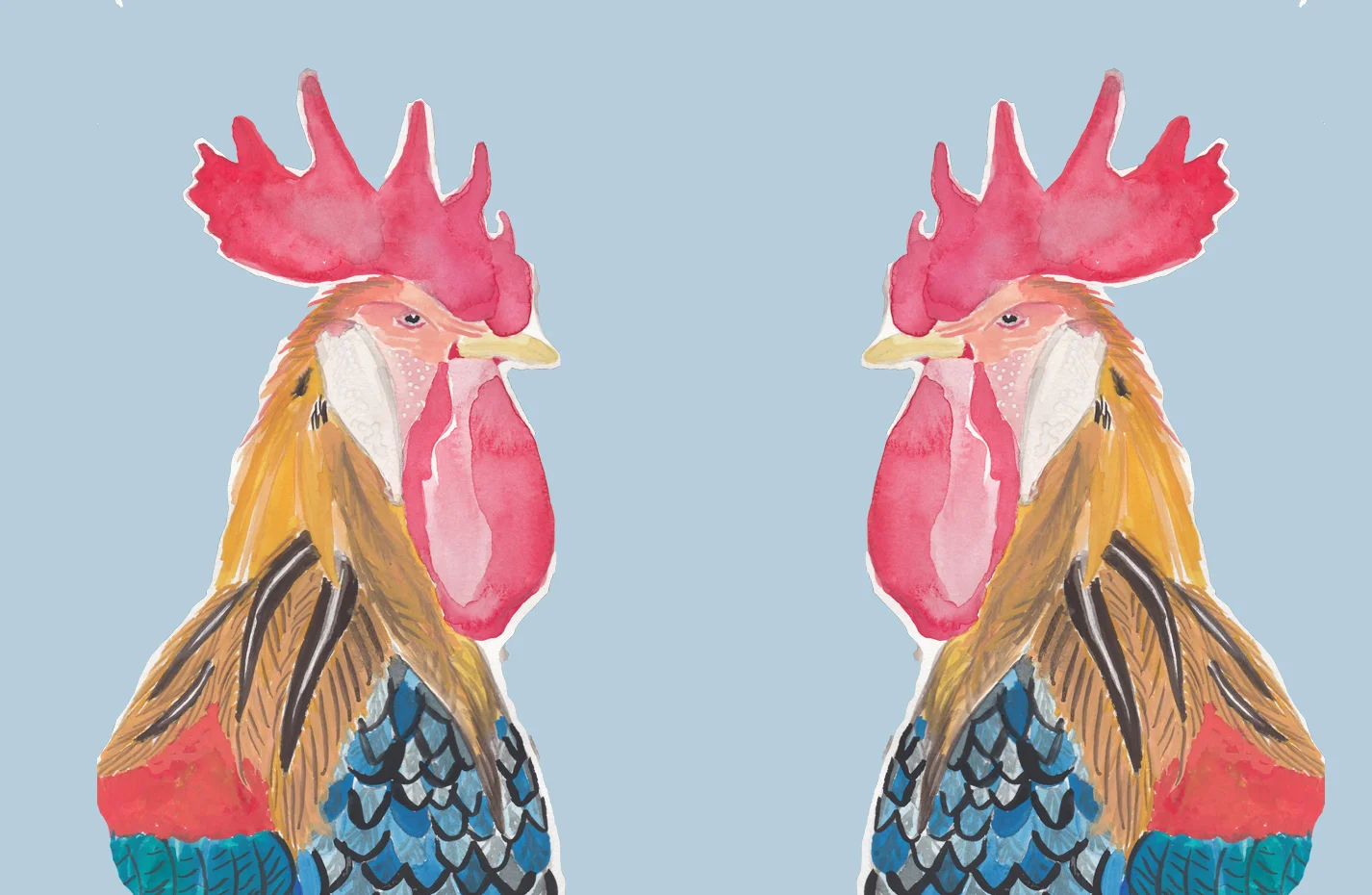 Rooster Stare