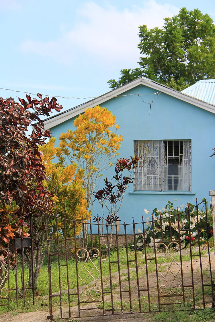 Freehill, Jamaica