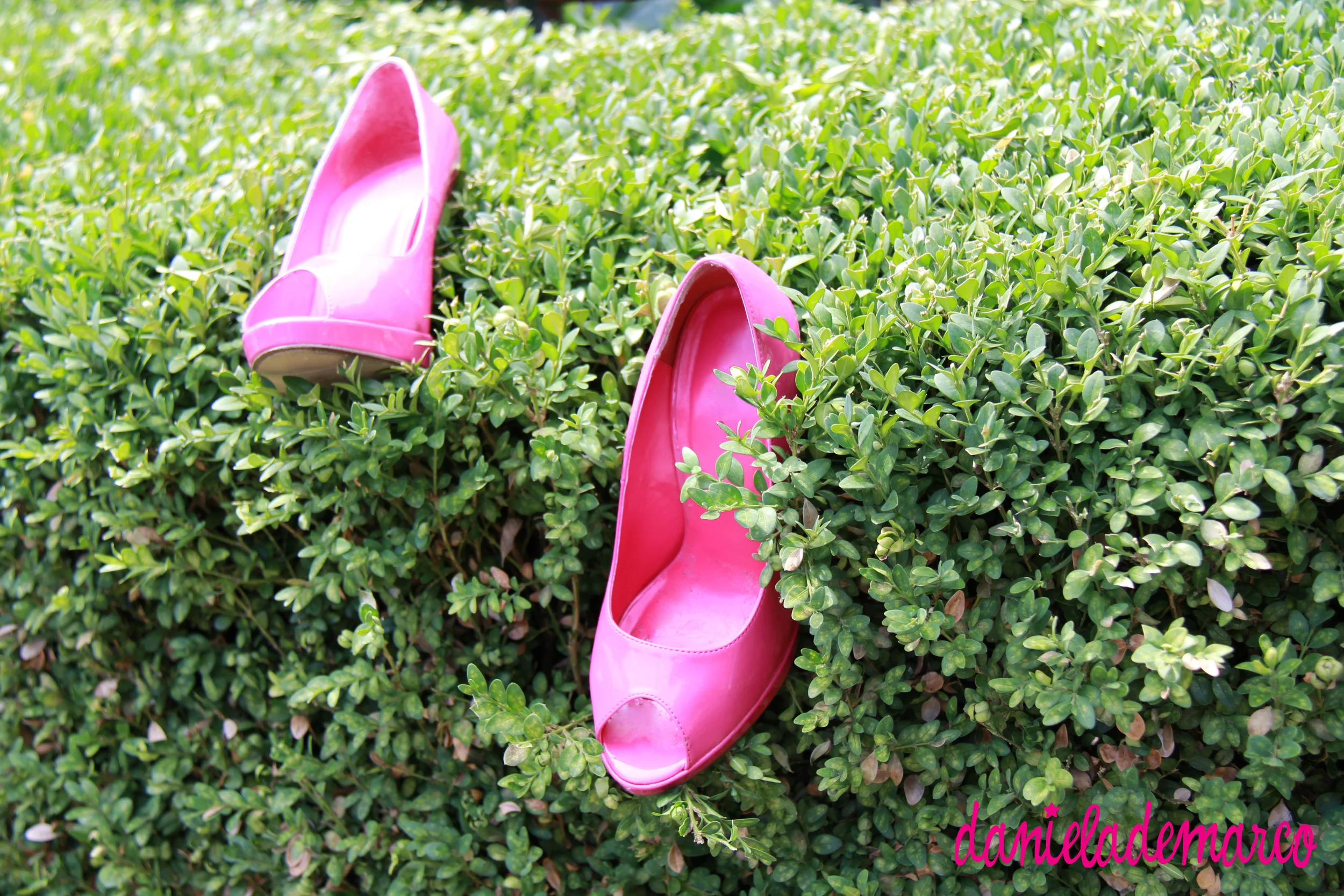 Hot Pink Heels