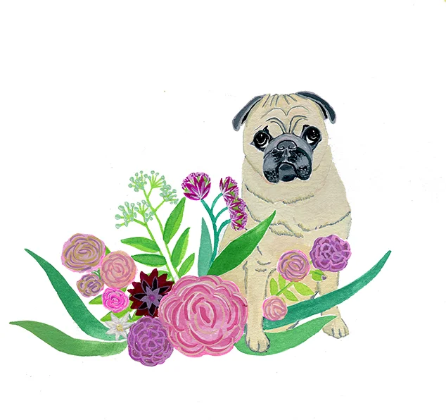 Tofu the Pug