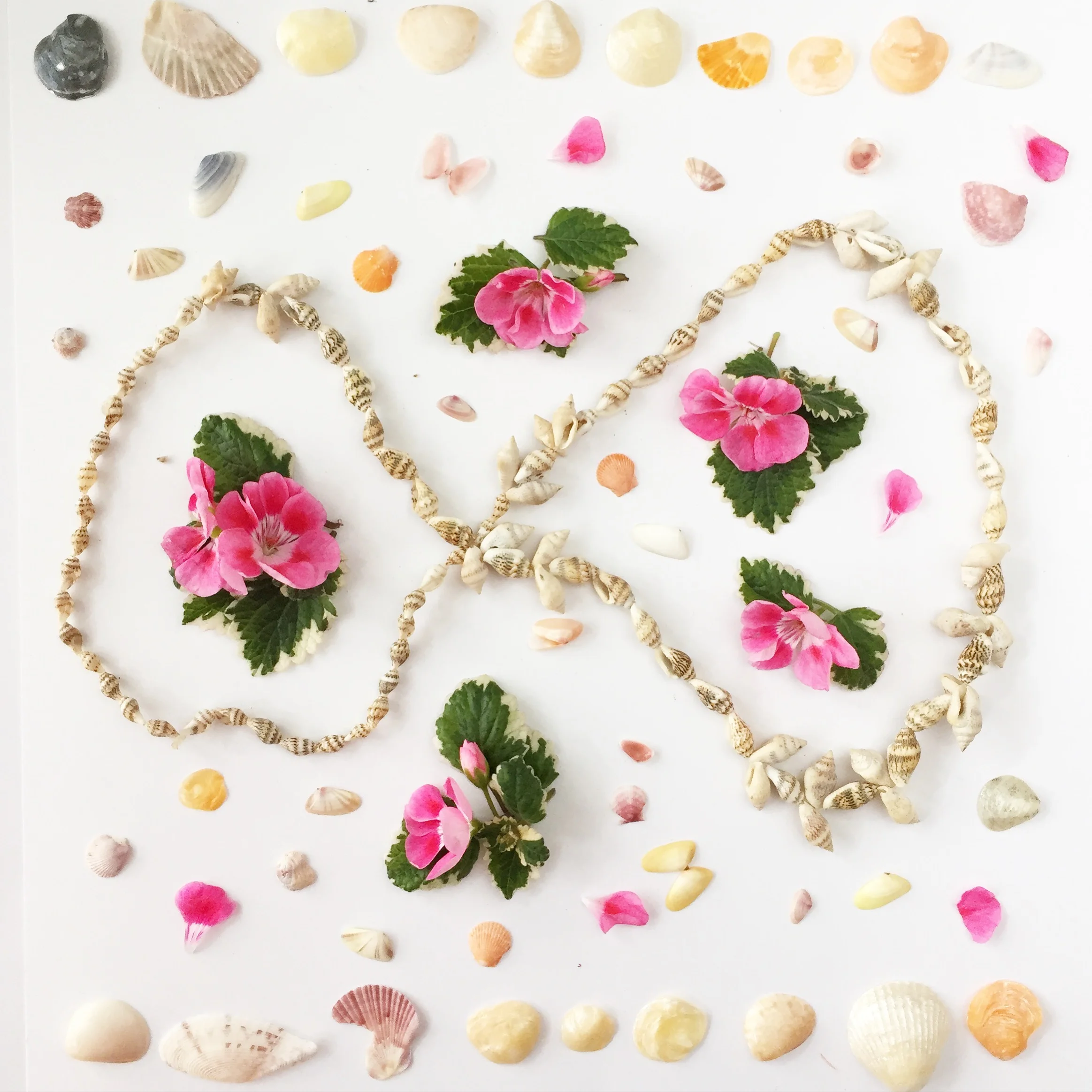 Seashells & Flowers