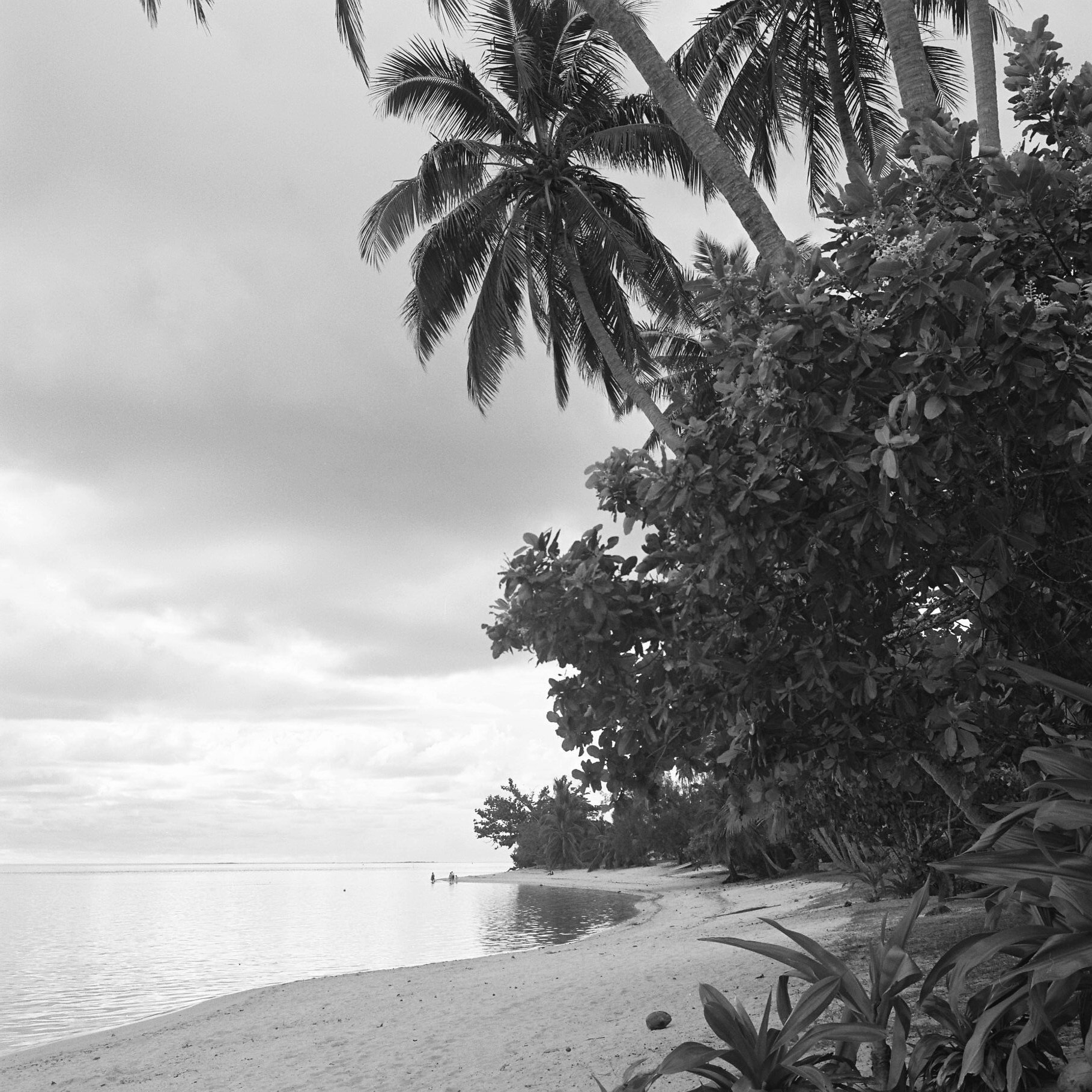 Moorea, Polinesia Francesa
