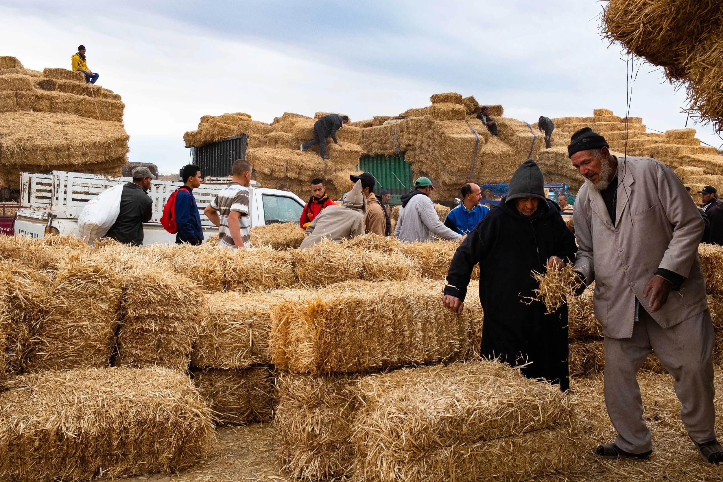 Vendiendo heno. Taroudant, Marruecos