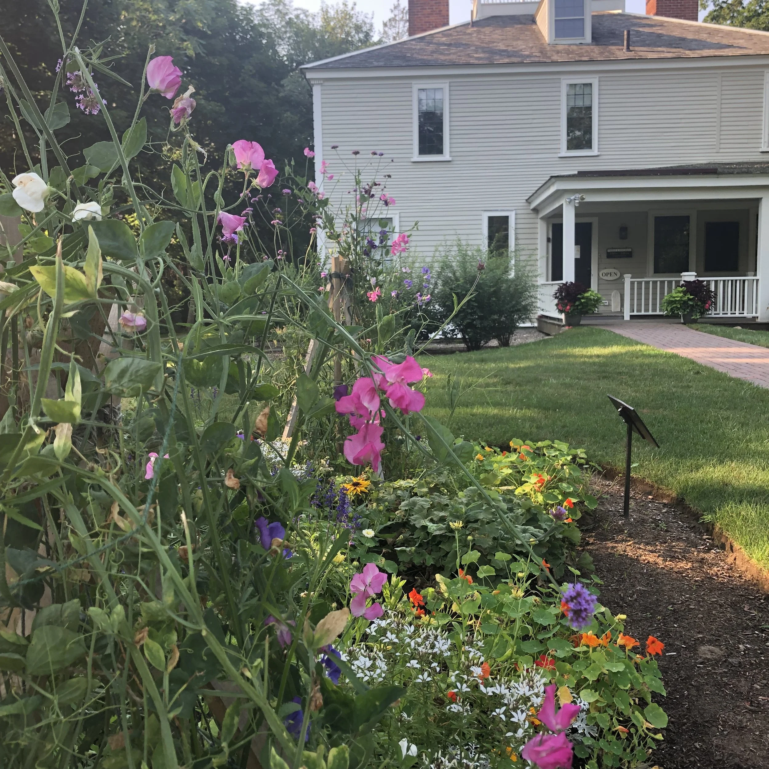 OPEN HOUSE Cobb House Museum and Windmill Village 