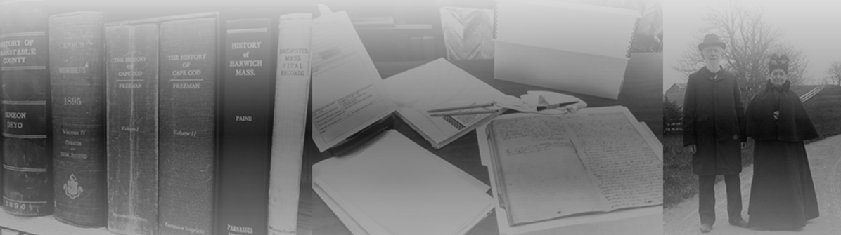 In The Collections banner (2).png
