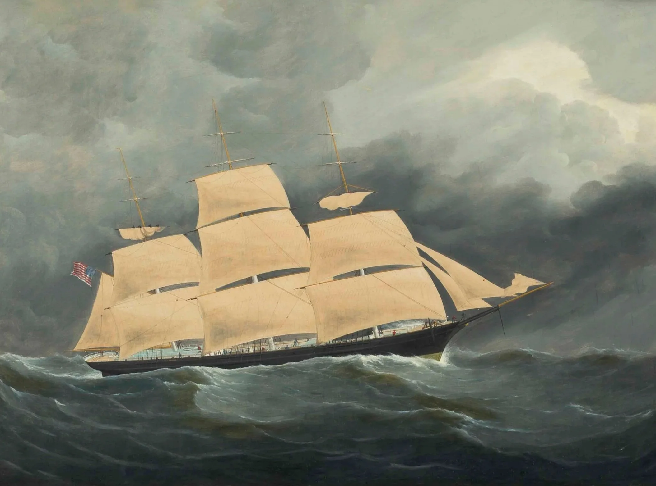 Clipper Wild Ranger